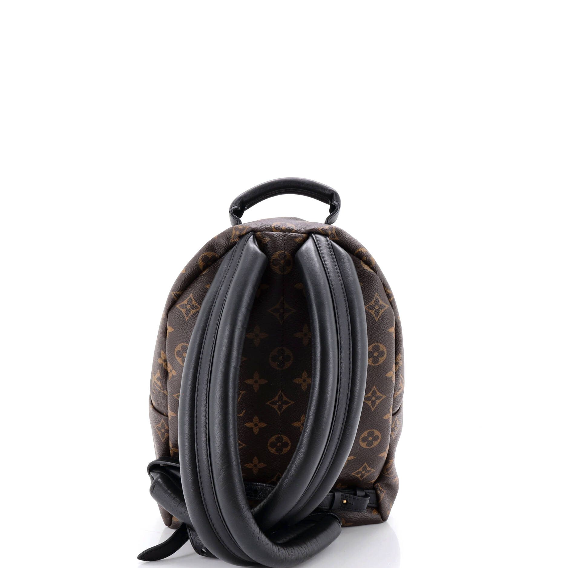 Louis Vuitton Palm Springs Backpack Monogram Canvas PM Size ONE SIZE - 2 Thumbnail