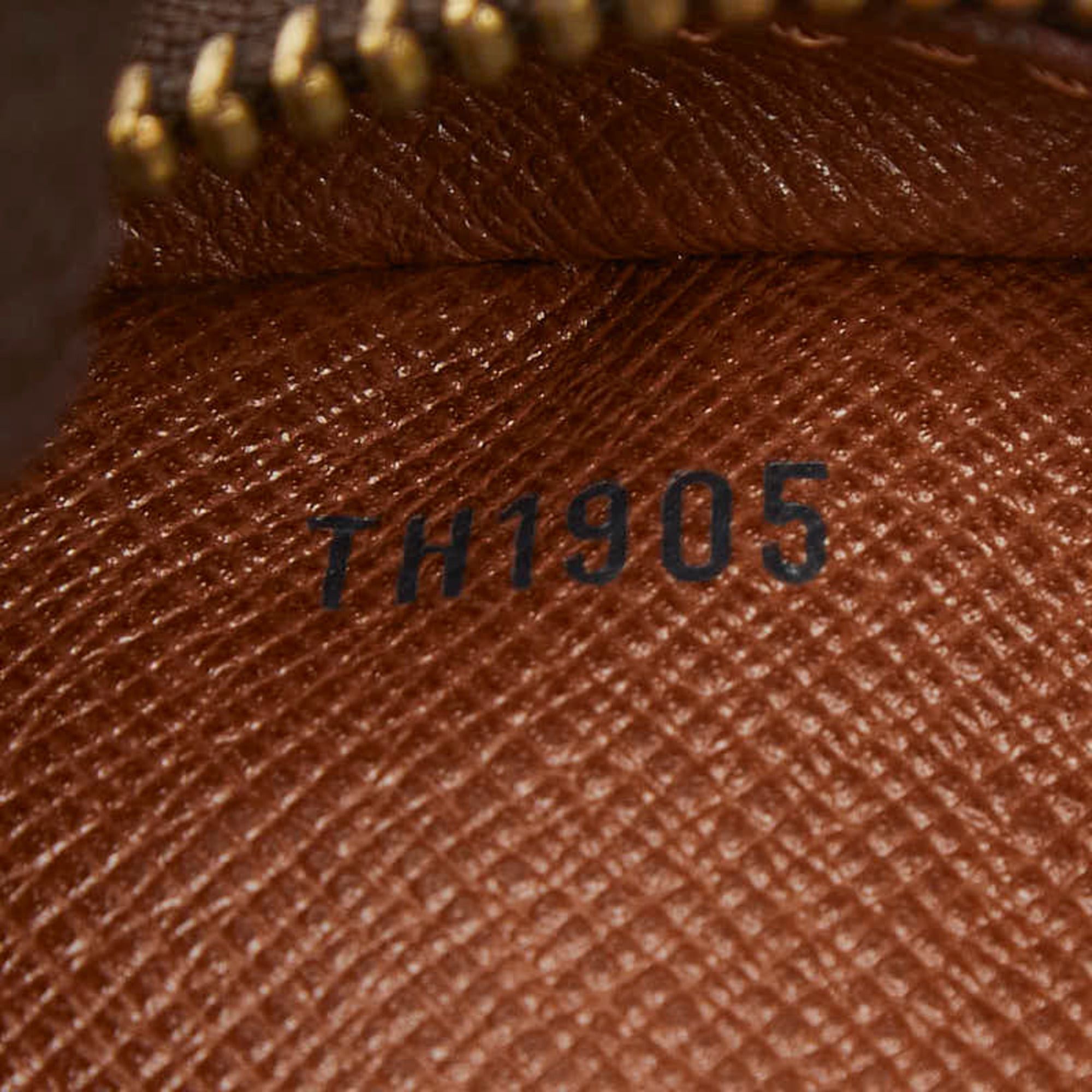 Louis Vuitton Monogram Amazon Crossbody Shoulder Bag M45236 Brown Leather Women's LOUIS VUITTON