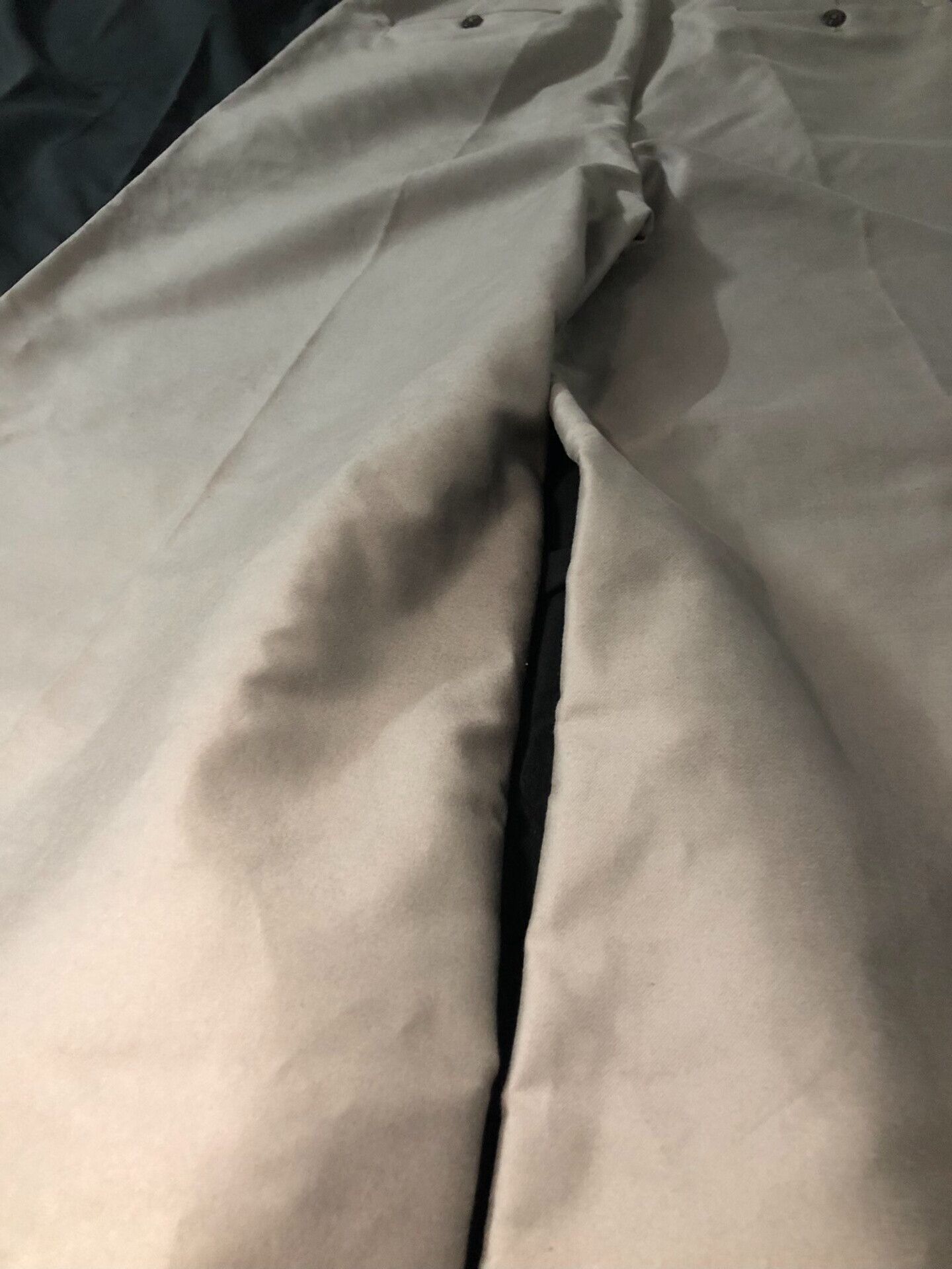 Rick Owens rick owens 19 larry elephant wide pants Size US 34 / EU 50 - 8 Thumbnail