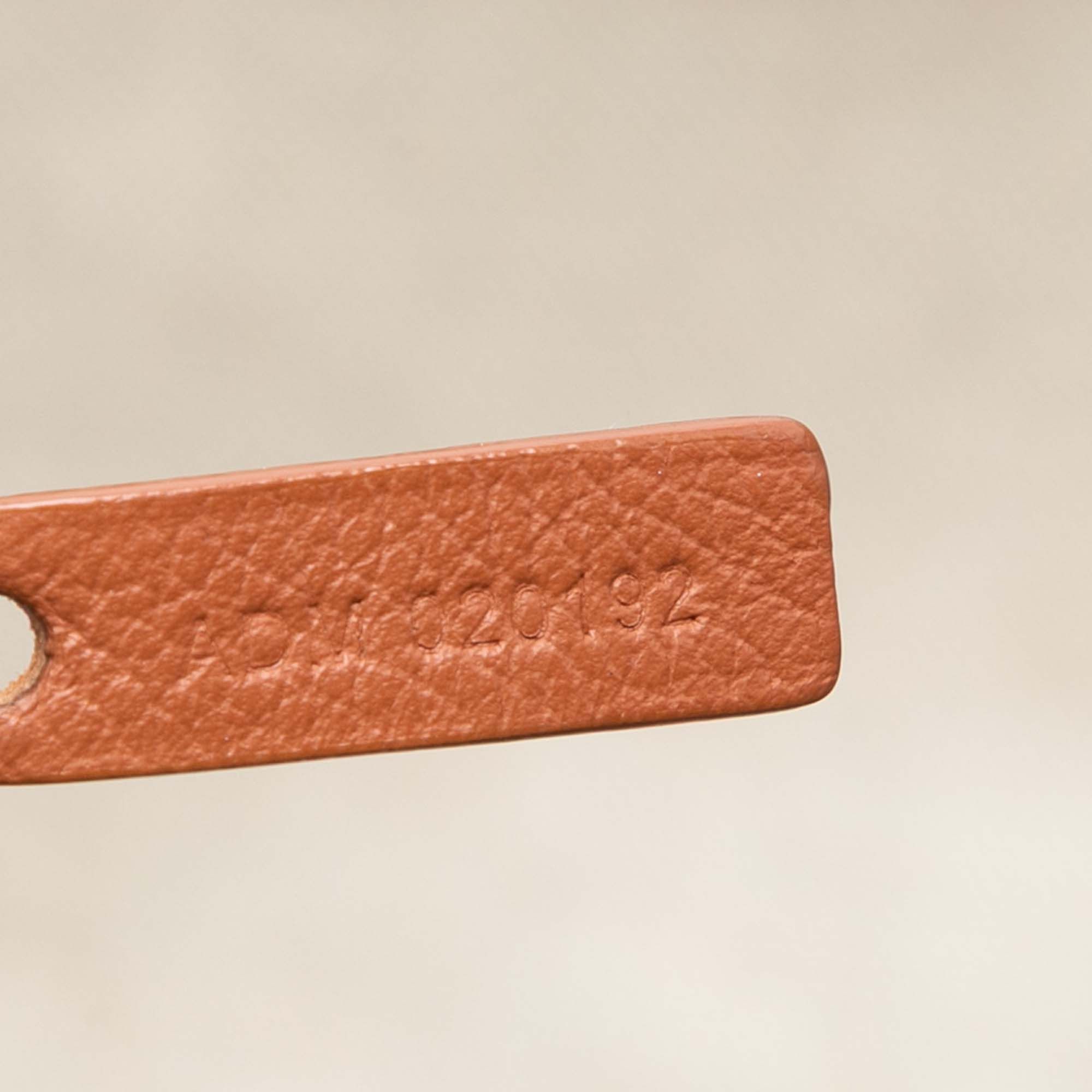 Goyard Goyard Goyardine Saint Louis PM Size ONE SIZE - 6 Thumbnail