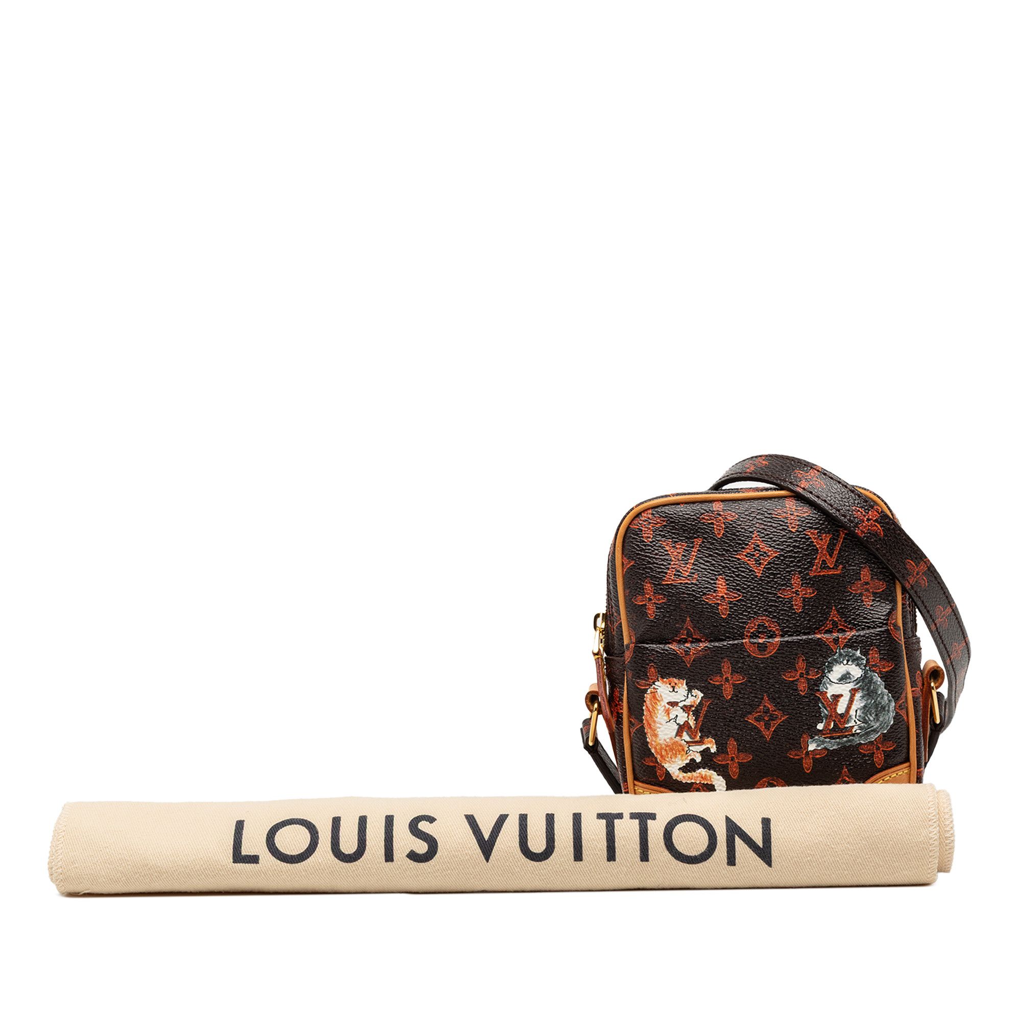 Louis Vuitton Louis Vuitton Grace Coddington Catogram Paname PM Size ONE SIZE - 8 Thumbnail