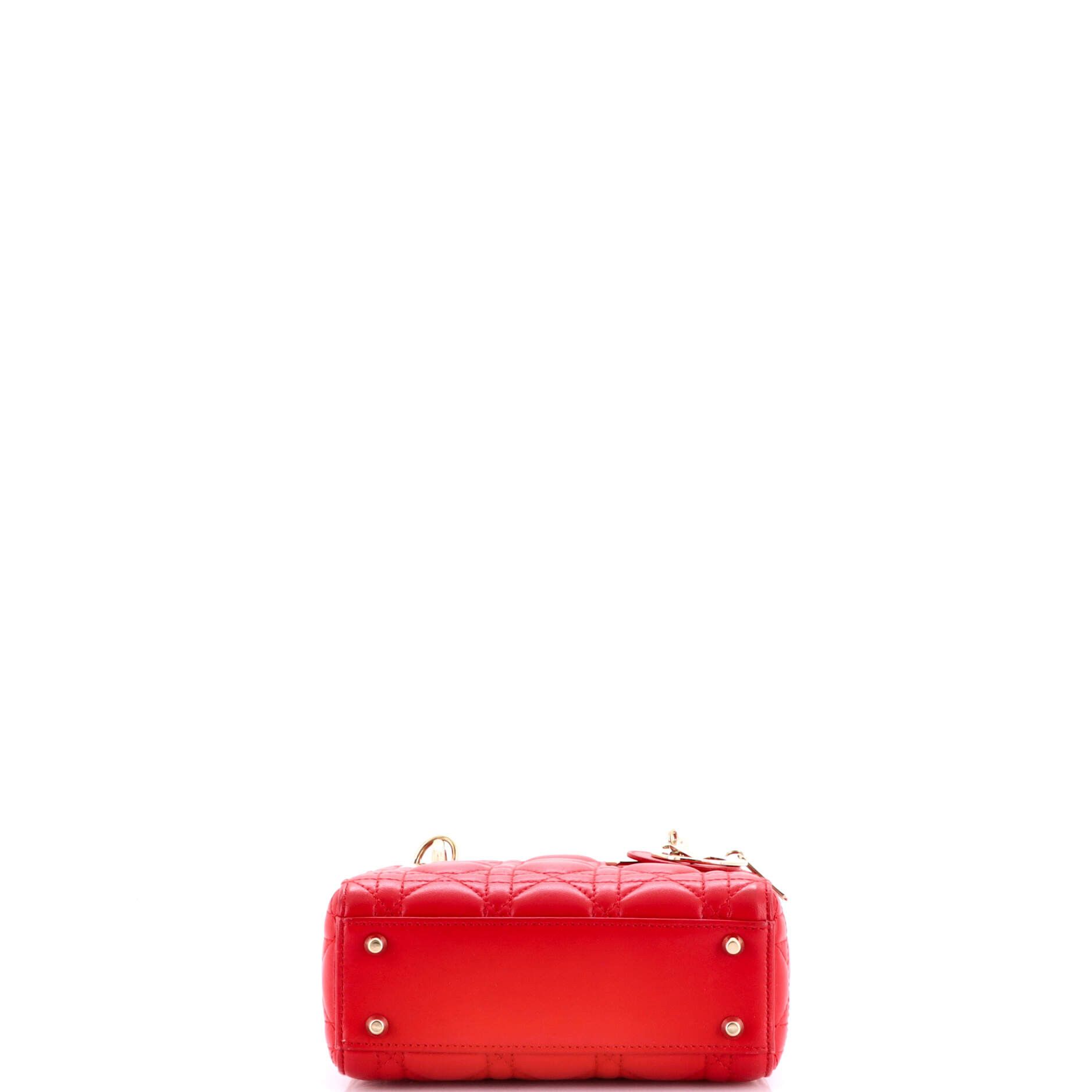 Dior Lady Dior Bag Cannage Quilt Lambskin Mini Size ONE SIZE - 3 Thumbnail