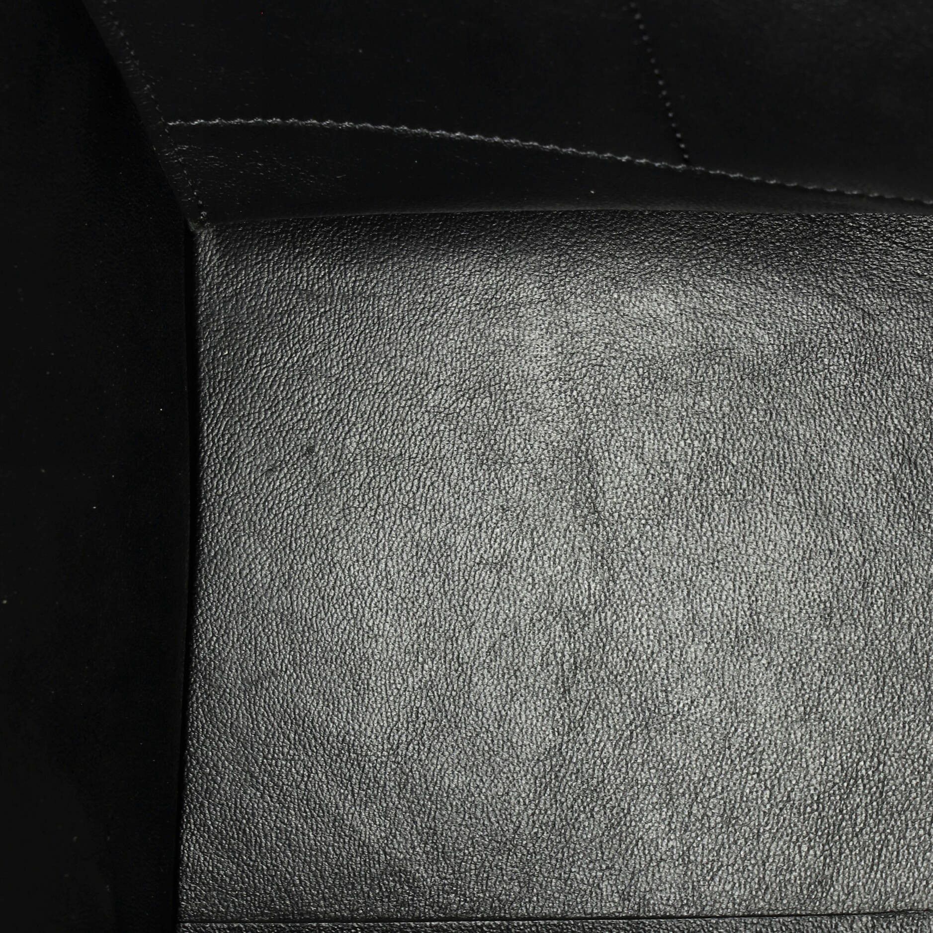 Celine Tricolor Trapeze Bag Pony Hair Medium Size ONE SIZE - 4 Thumbnail