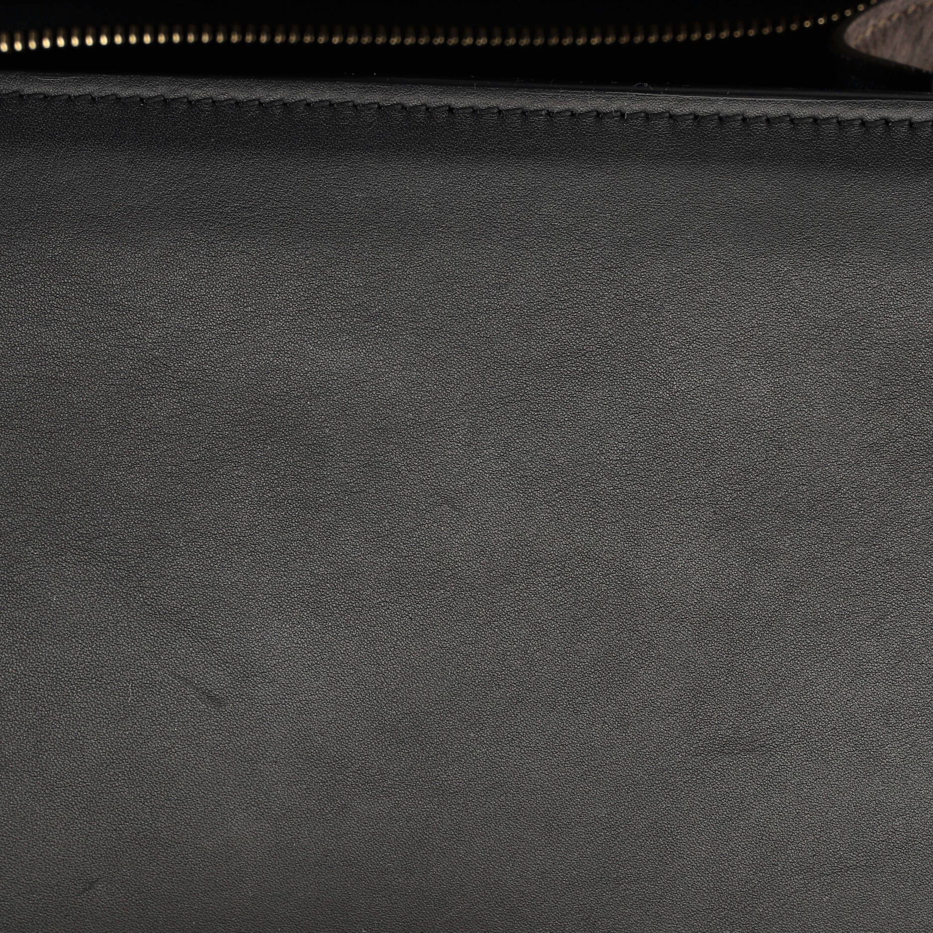 Celine Tricolor Trapeze Bag Pony Hair Medium Size ONE SIZE - 5 Thumbnail