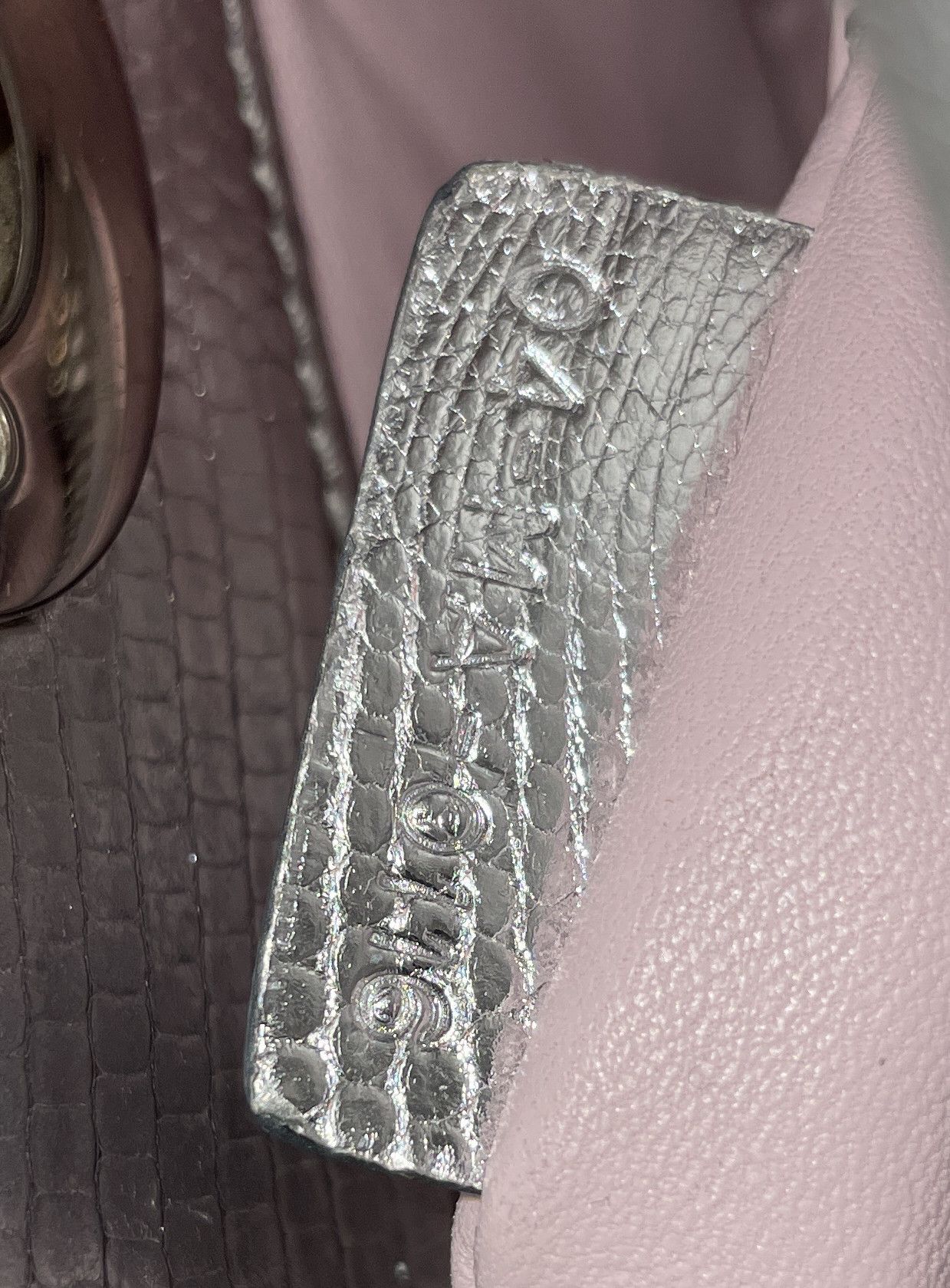 Dior Lady Dior Bag Lizard with Metal Applique Mini Size ONE SIZE - 6 Thumbnail