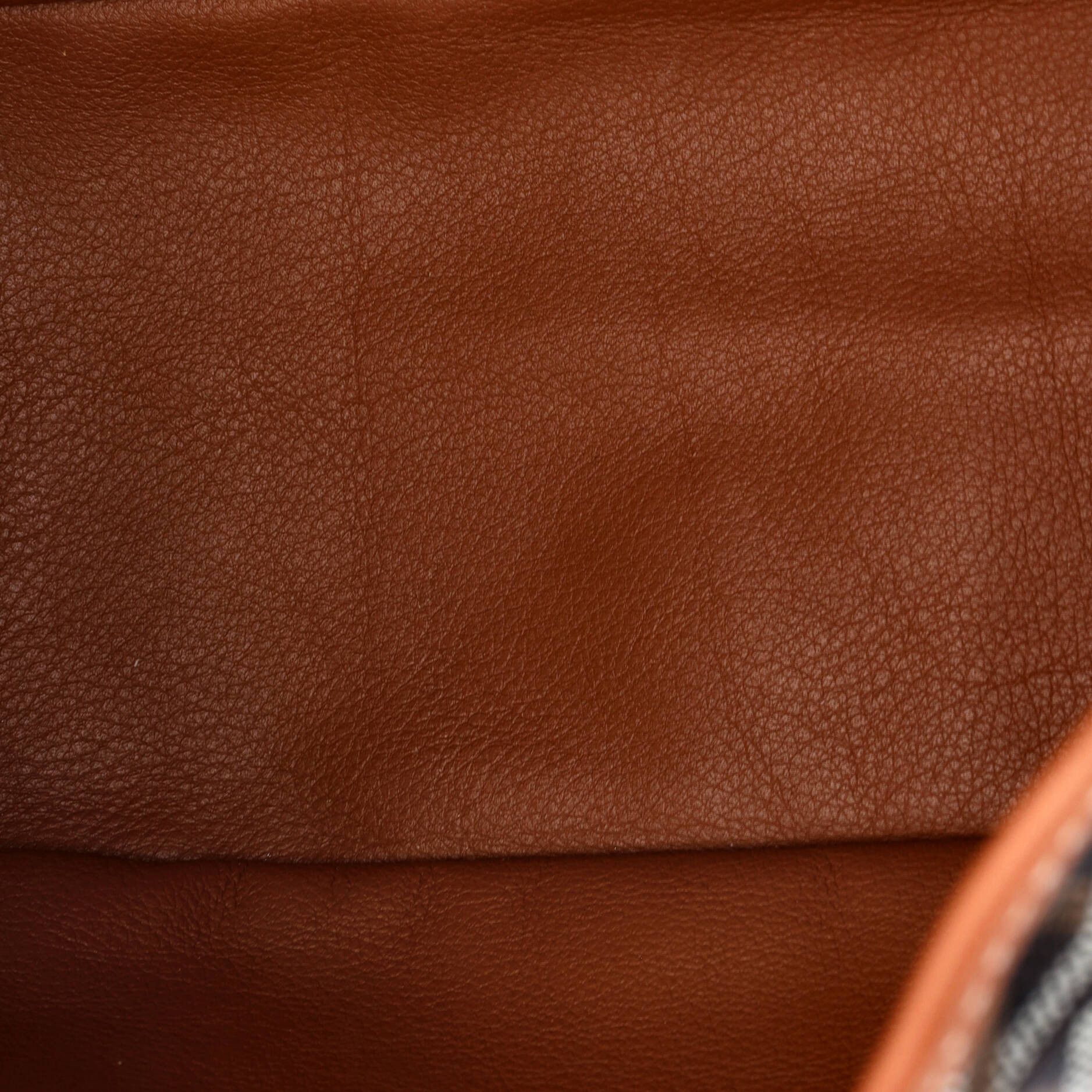 Goyard Anjou Reversible Tote Coated Canvas Mini Size ONE SIZE - 5 Thumbnail