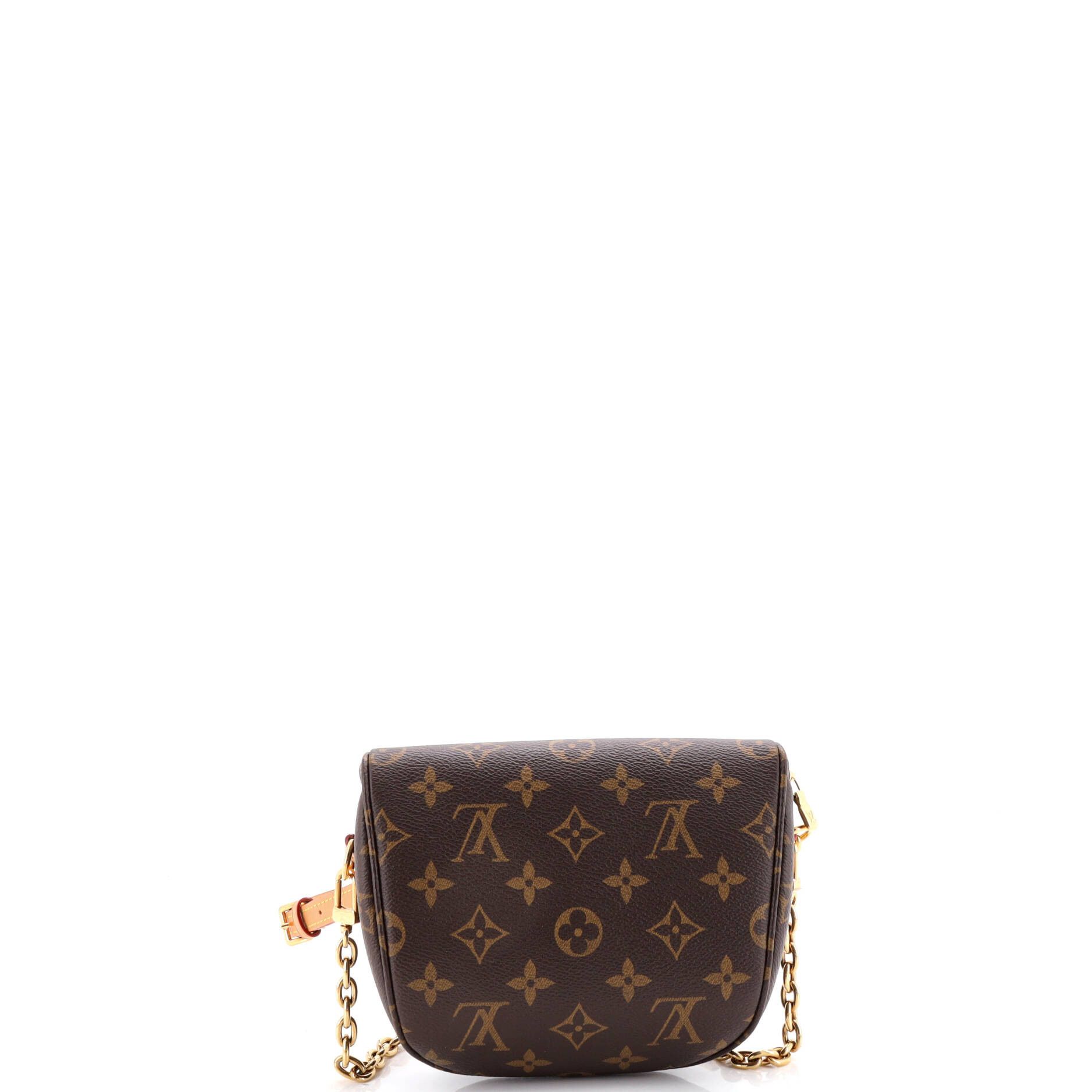 Louis Vuitton Bum Bag Monogram Canvas Mini Size ONE SIZE - 2 Thumbnail