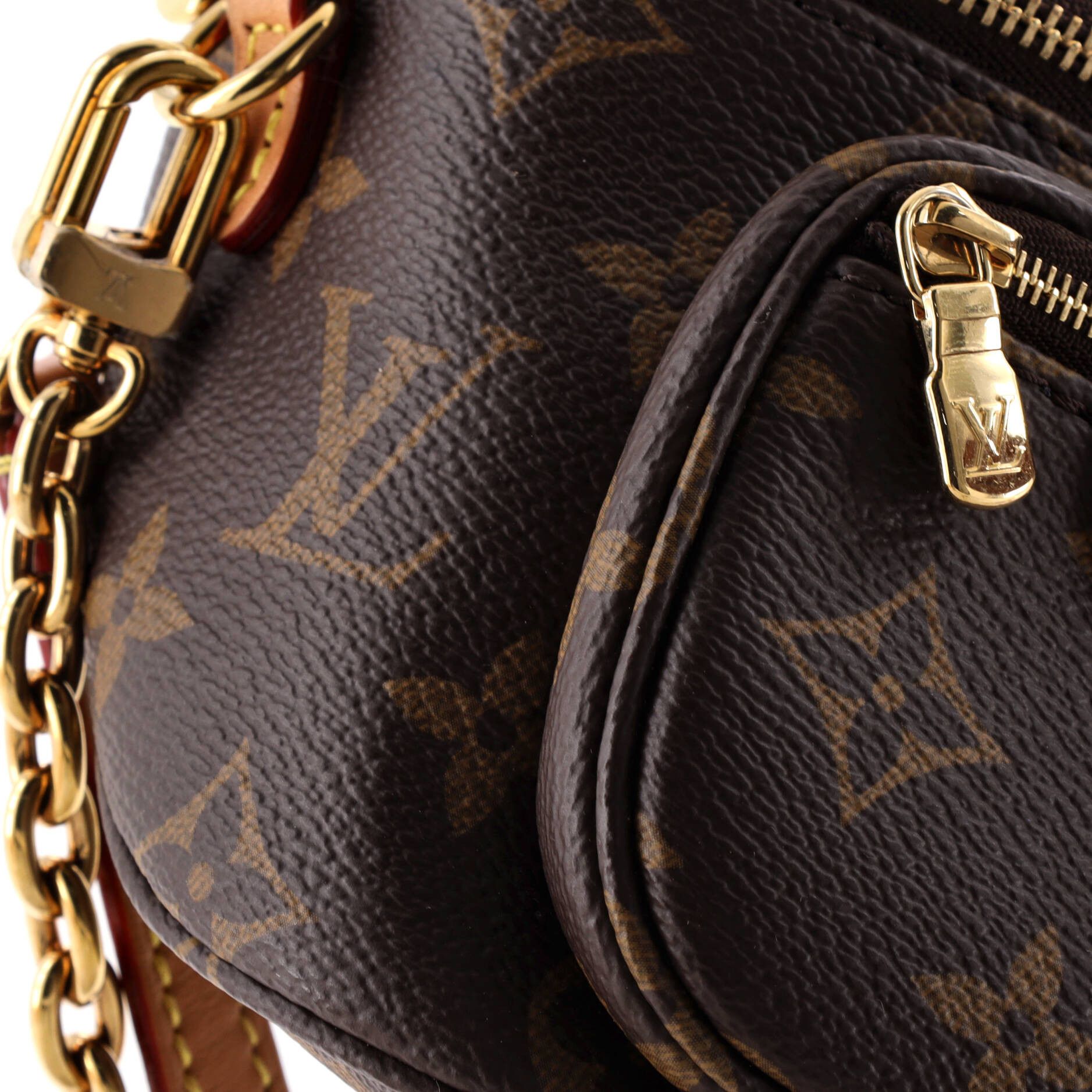 Louis Vuitton Bum Bag Monogram Canvas Mini Size ONE SIZE - 5 Thumbnail