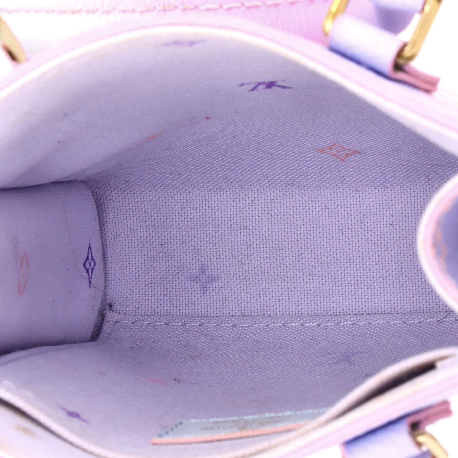 Louis Vuitton Petit Sac Plat Bag Spring in the City Monogram Giant Canvas Size ONE SIZE - 4 Thumbnail