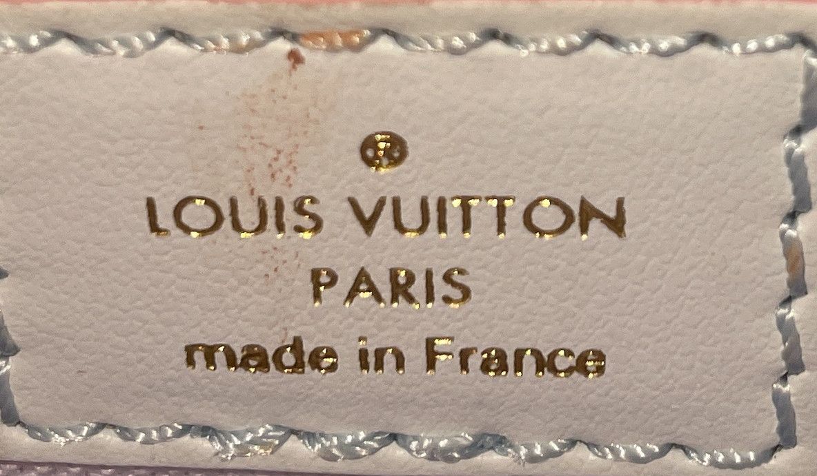 Louis Vuitton Petit Sac Plat Bag Spring in the City Monogram Giant Canvas Size ONE SIZE - 8 Thumbnail