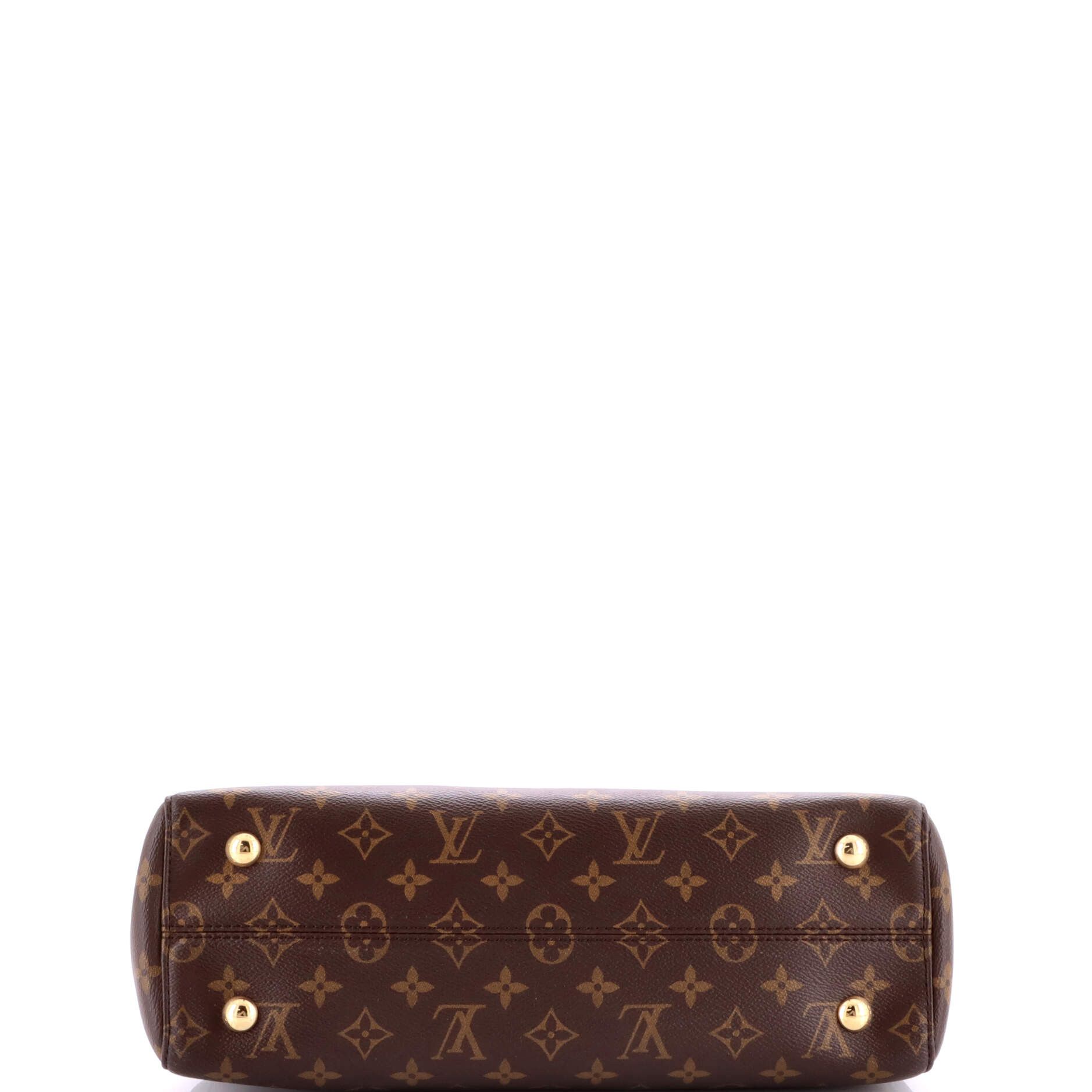 Venus Handbag Monogram Canvas and Leather