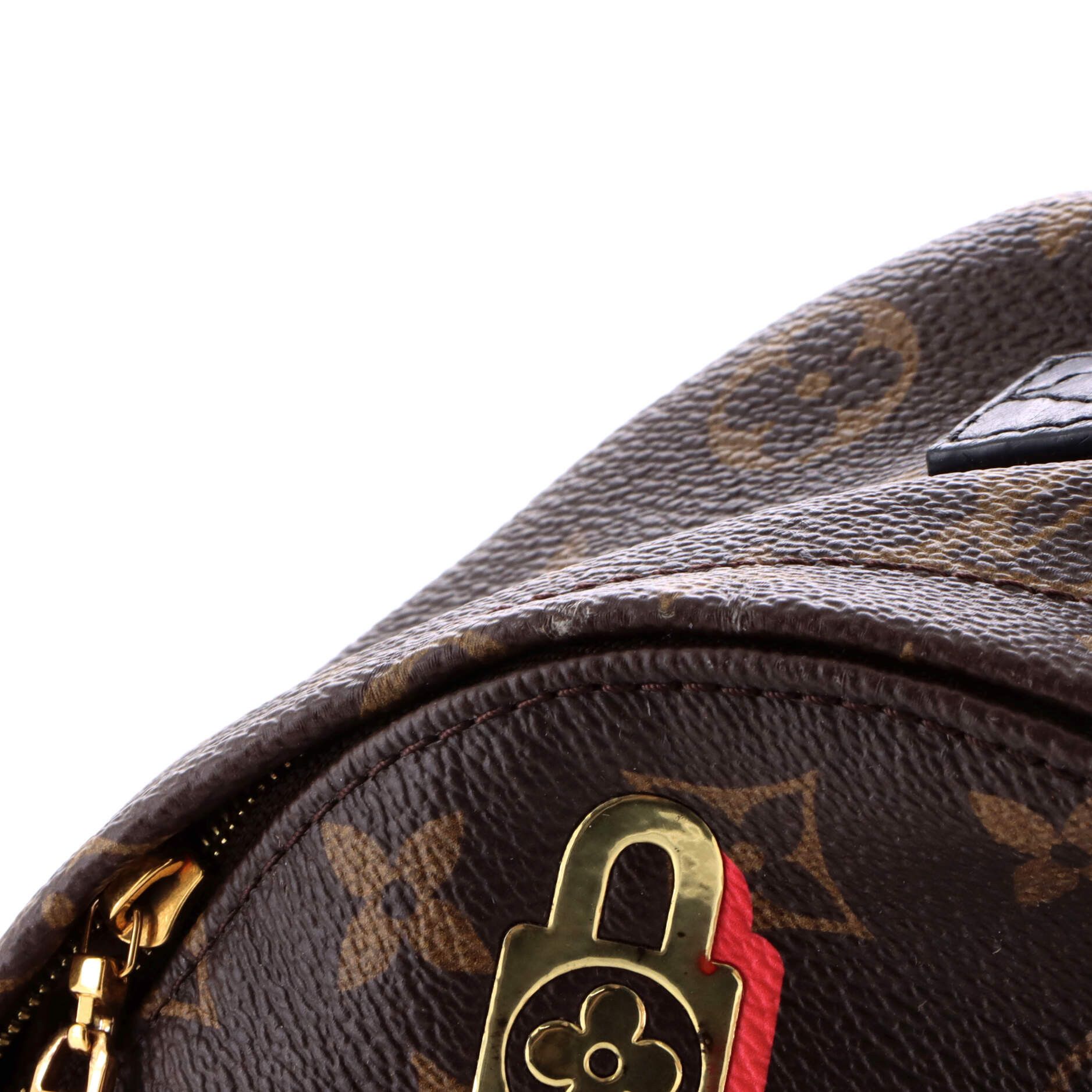 Louis Vuitton Palm Springs Backpack Limited Edition Love Lock Monogram Can Size ONE SIZE - 5 Thumbnail