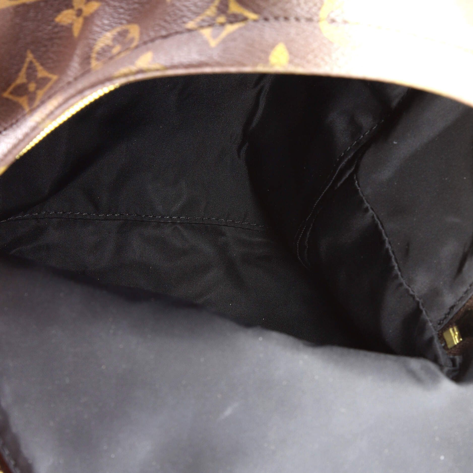 Louis Vuitton Palm Springs Backpack Monogram Canvas PM Size ONE SIZE - 4 Thumbnail