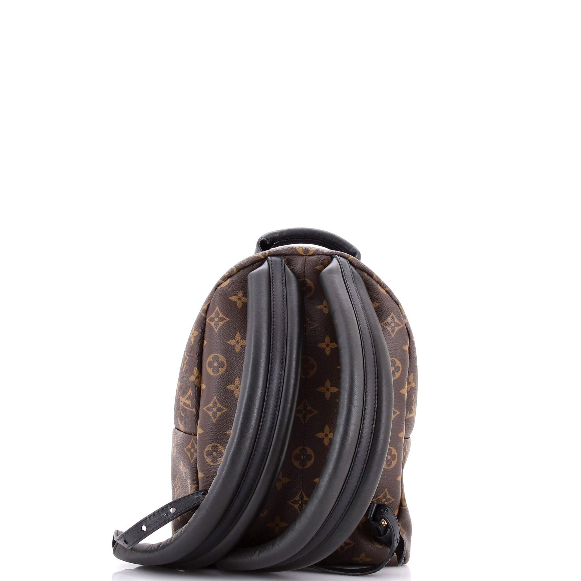Louis Vuitton Palm Springs Backpack Monogram Canvas PM Size ONE SIZE - 2 Thumbnail