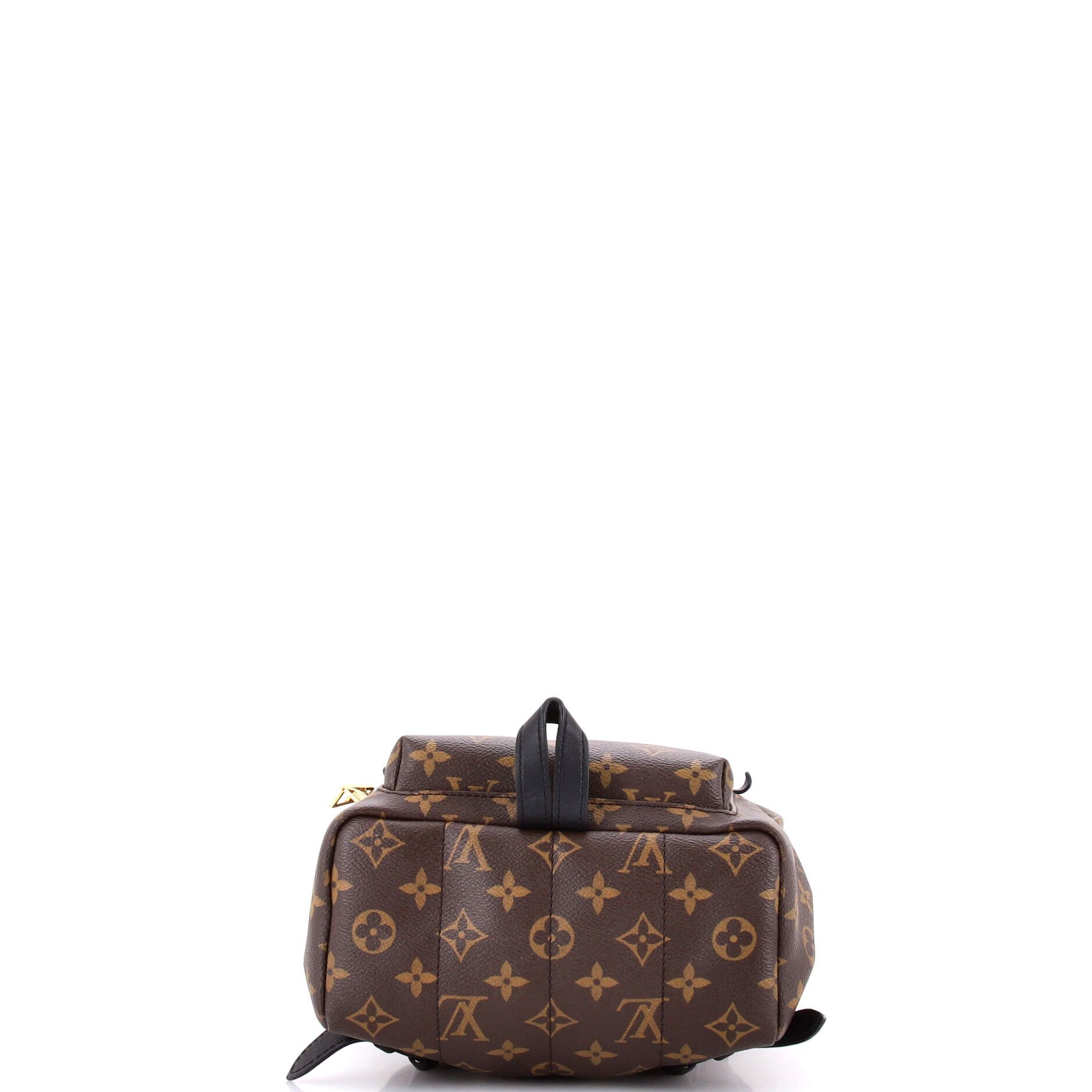 Louis Vuitton Palm Springs Backpack Monogram Canvas PM Size ONE SIZE - 3 Thumbnail