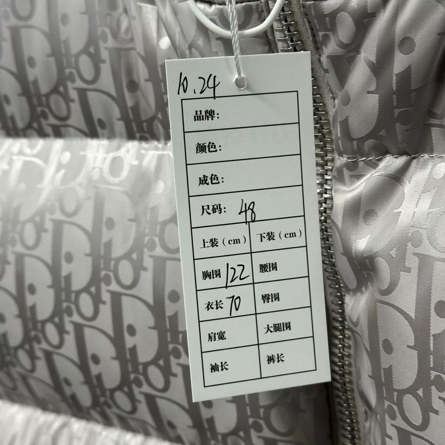 Dior Dior Logo Print Puffer Vest Size 48 Size US L / EU 52-54 / 3 - 5 Thumbnail