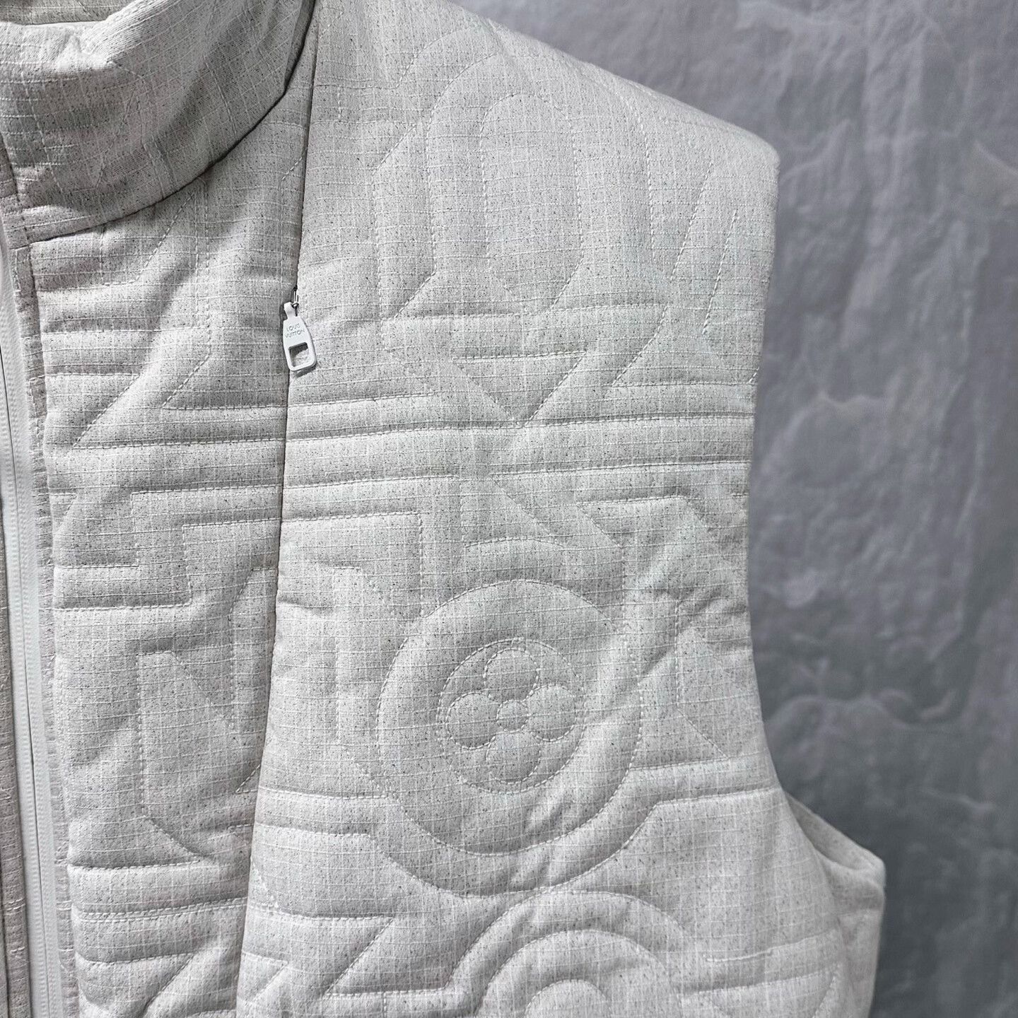 Louis Vuitton louis vuitton embossed zippers down vest Size US L / EU 52-54 / 3 - 4 Thumbnail