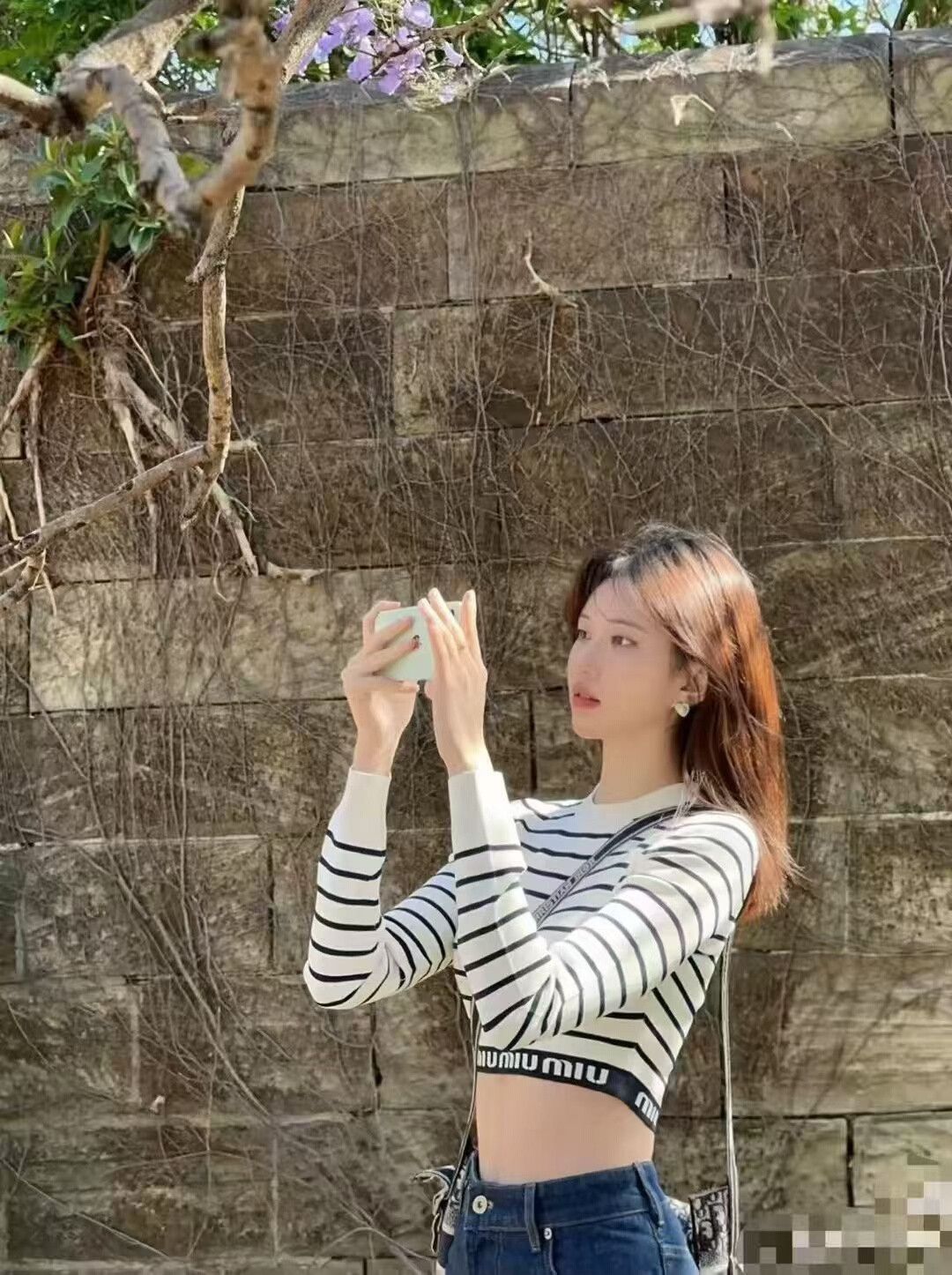 Miu Miu Miu Miu Striped Logo Knit Top Size S / US 4 / IT 40 - 9 Thumbnail