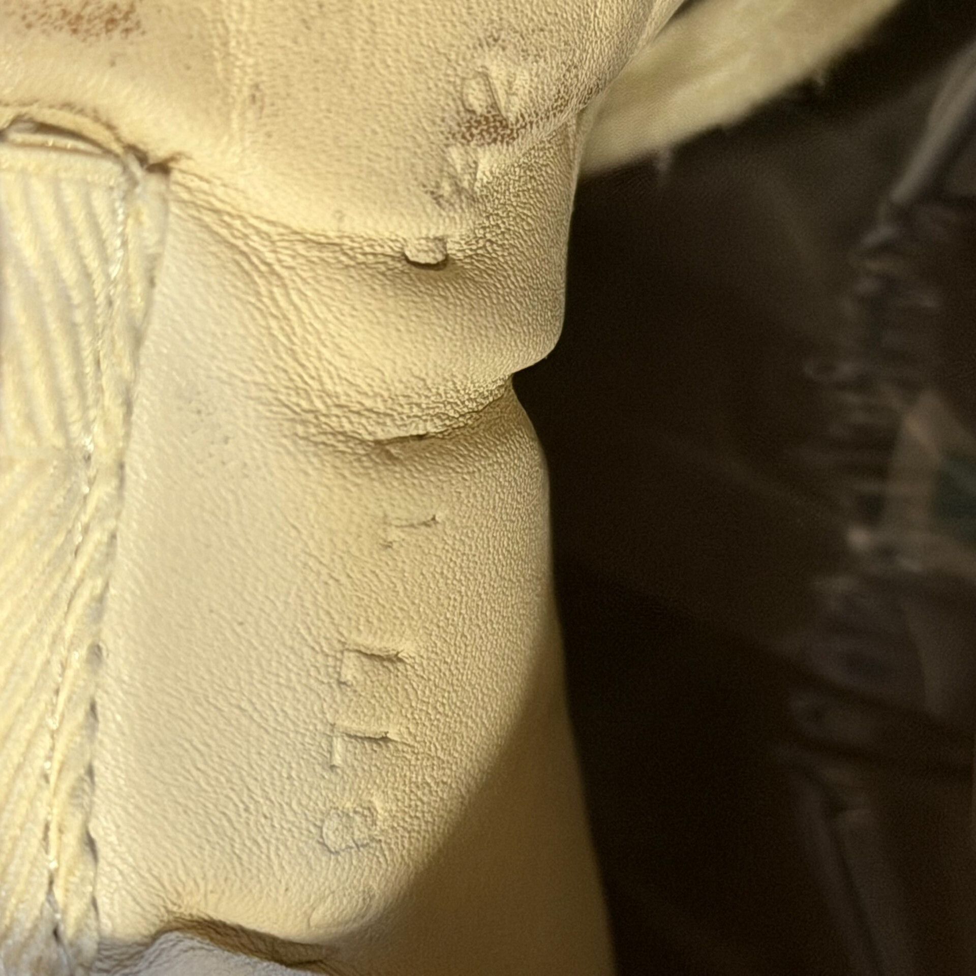 Gucci Gucci Dad Sneakers Size 45 Size US 11 / EU 44 - 9 Thumbnail