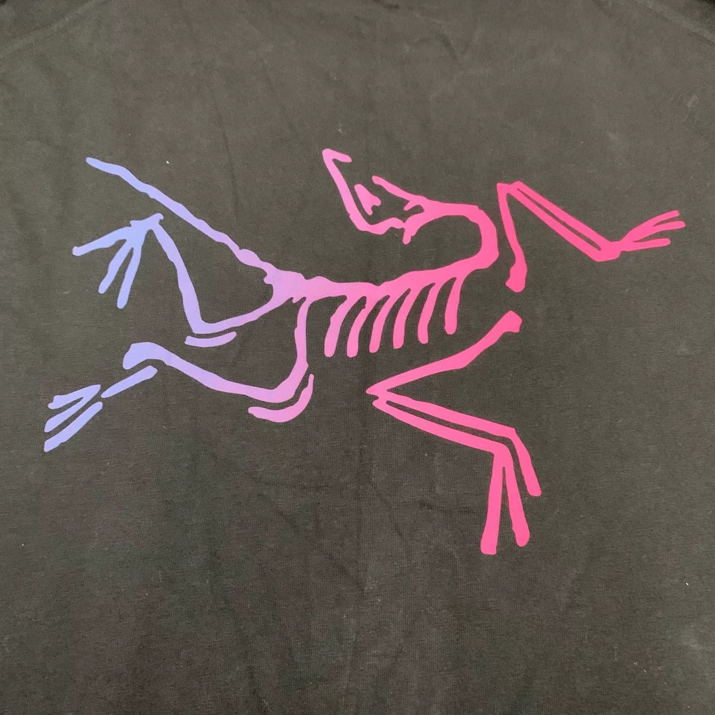 Arc'teryx Arcteryx KRAGG Colorful Logo T-Shirt Size US L / EU 52-54 / 3 - 7 Thumbnail