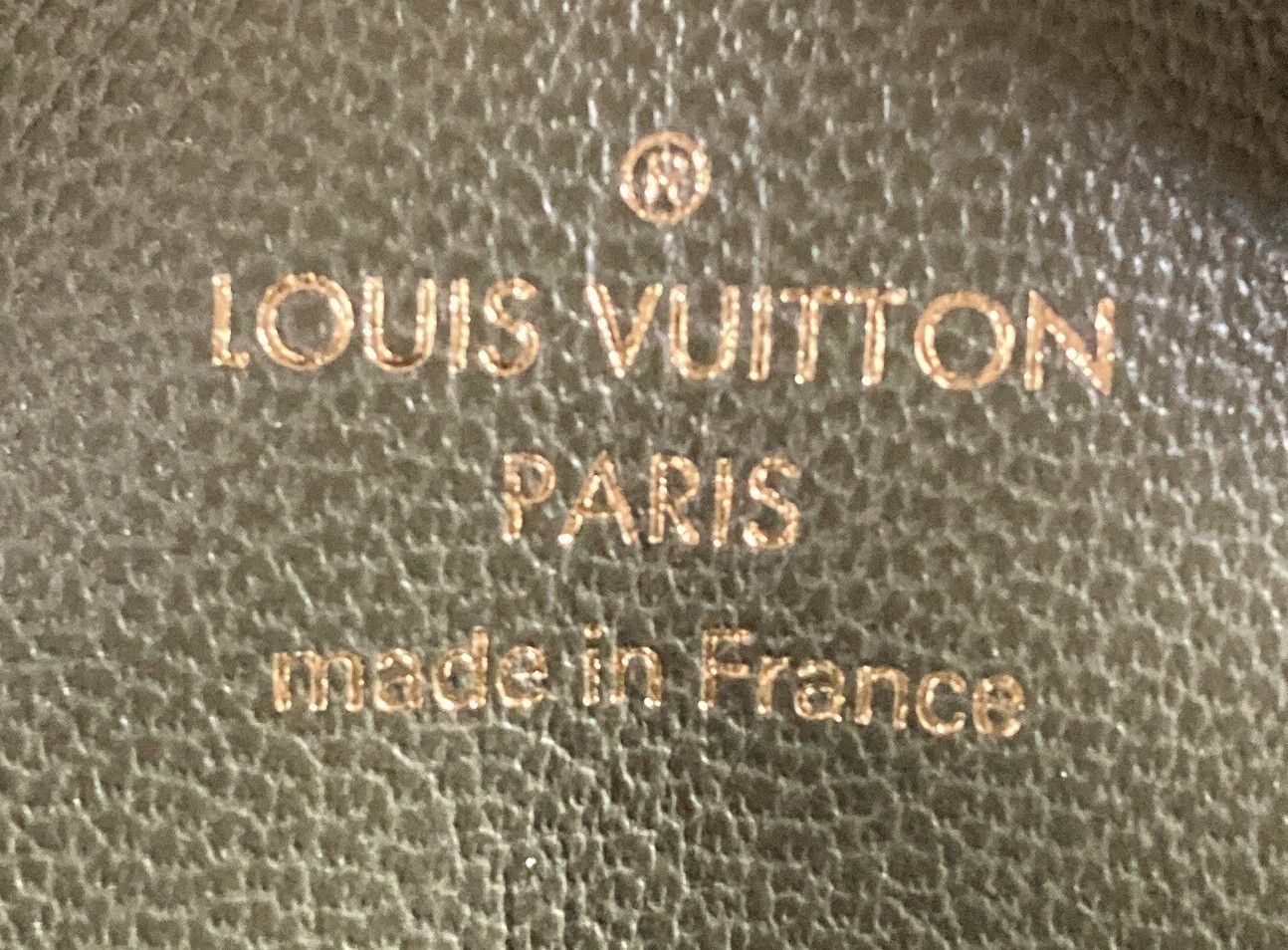 Louis Vuitton Coussin Bag Monogram Embossed Lambskin MM Size ONE SIZE - 6 Thumbnail