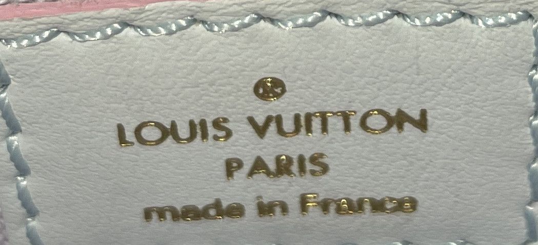 Louis Vuitton Petit Sac Plat Bag Spring in the City Monogram Giant Canvas Size ONE SIZE - 7 Thumbnail