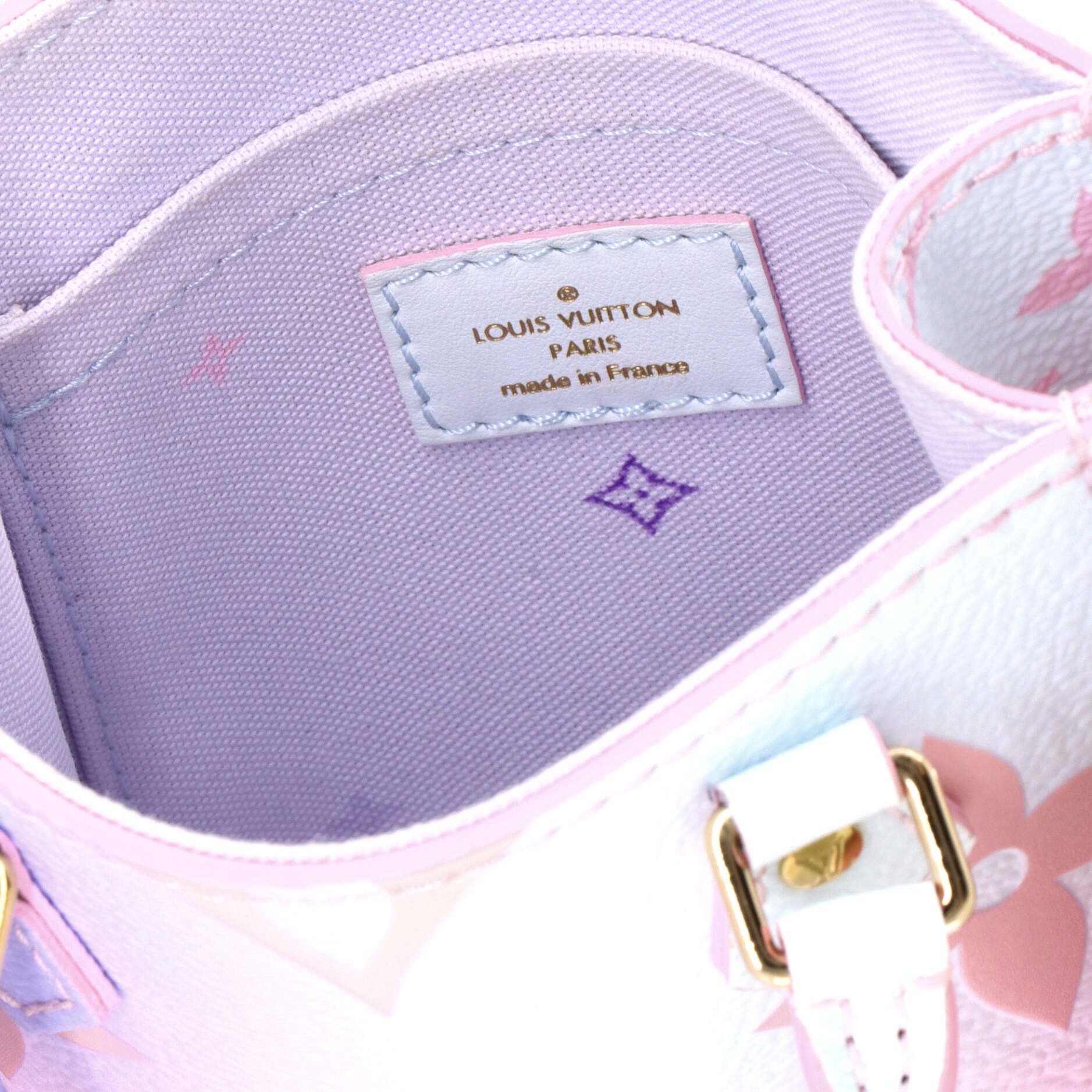 Louis Vuitton Petit Sac Plat Bag Spring in the City Monogram Giant Canvas Size ONE SIZE - 6 Thumbnail