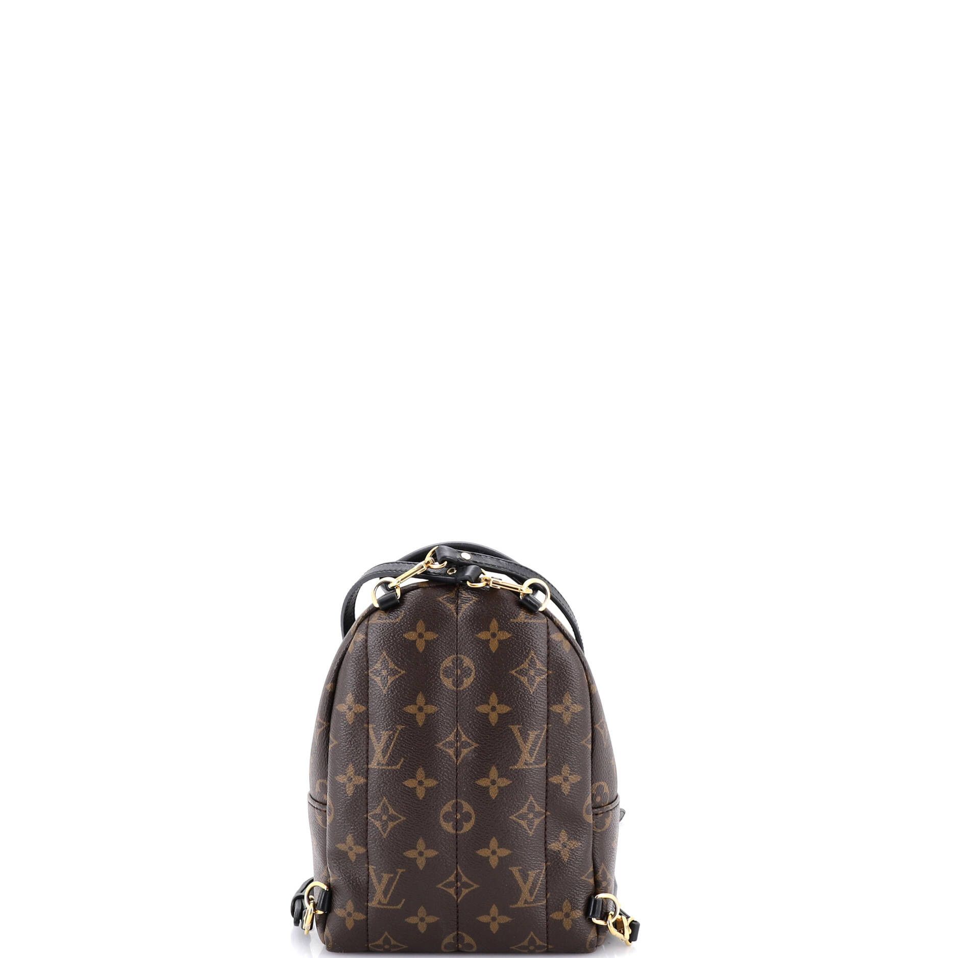 Louis Vuitton Palm Springs Backpack Monogram Canvas Mini Size ONE SIZE - 2 Thumbnail