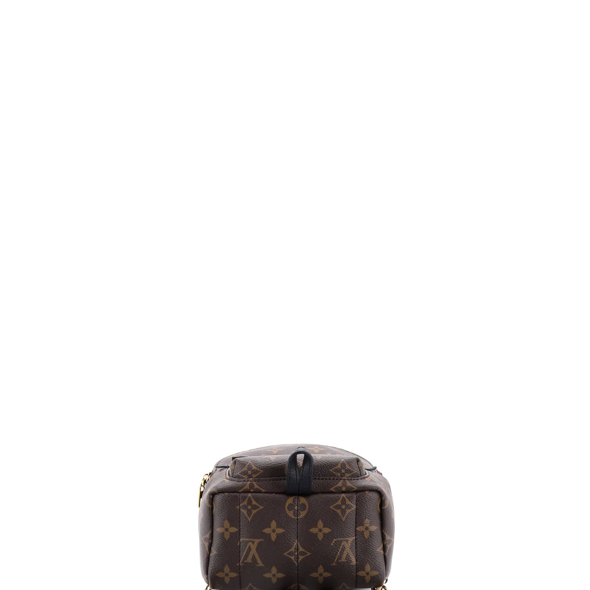 Louis Vuitton Palm Springs Backpack Monogram Canvas Mini Size ONE SIZE - 3 Thumbnail