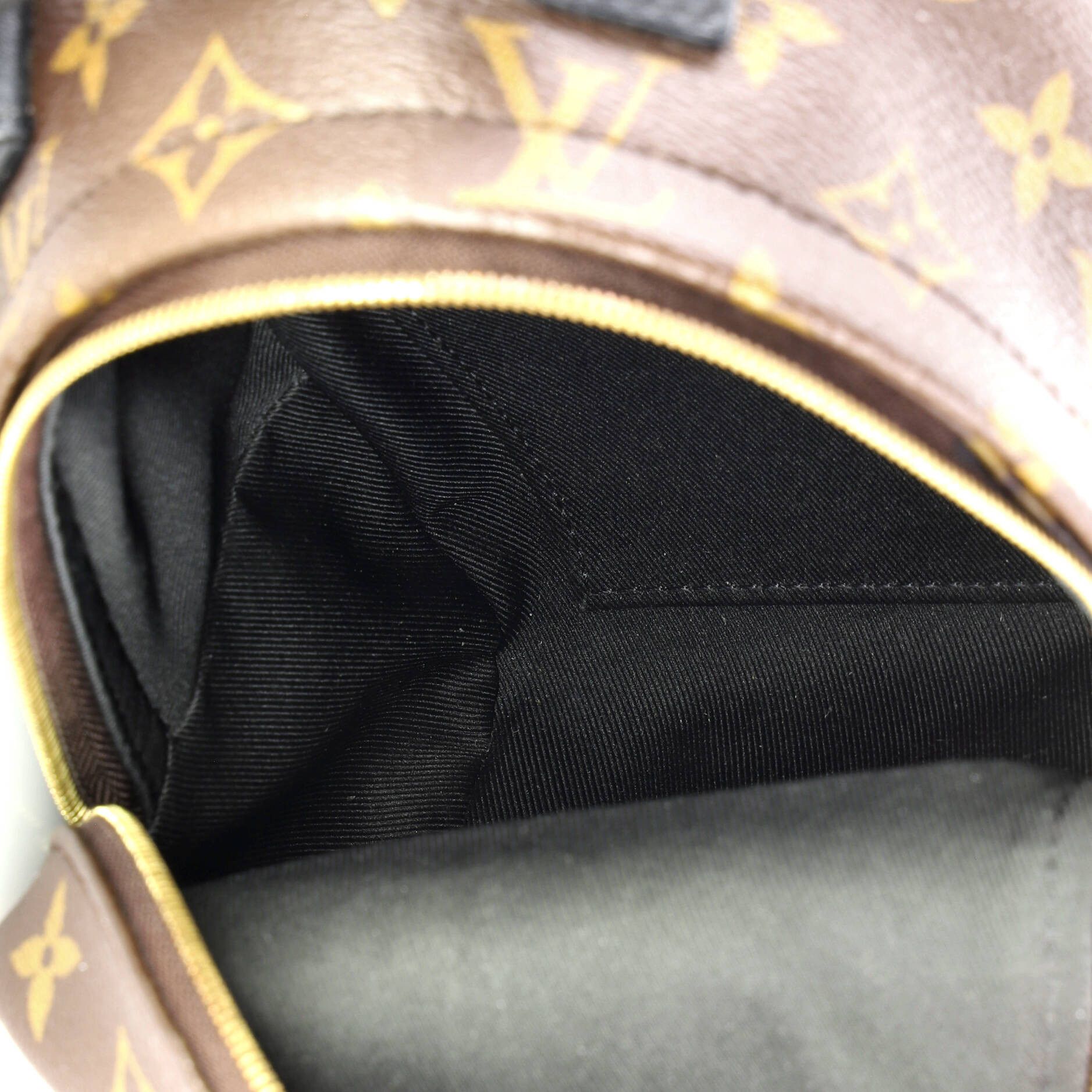 Louis Vuitton Palm Springs Backpack Monogram Canvas Mini Size ONE SIZE - 4 Thumbnail