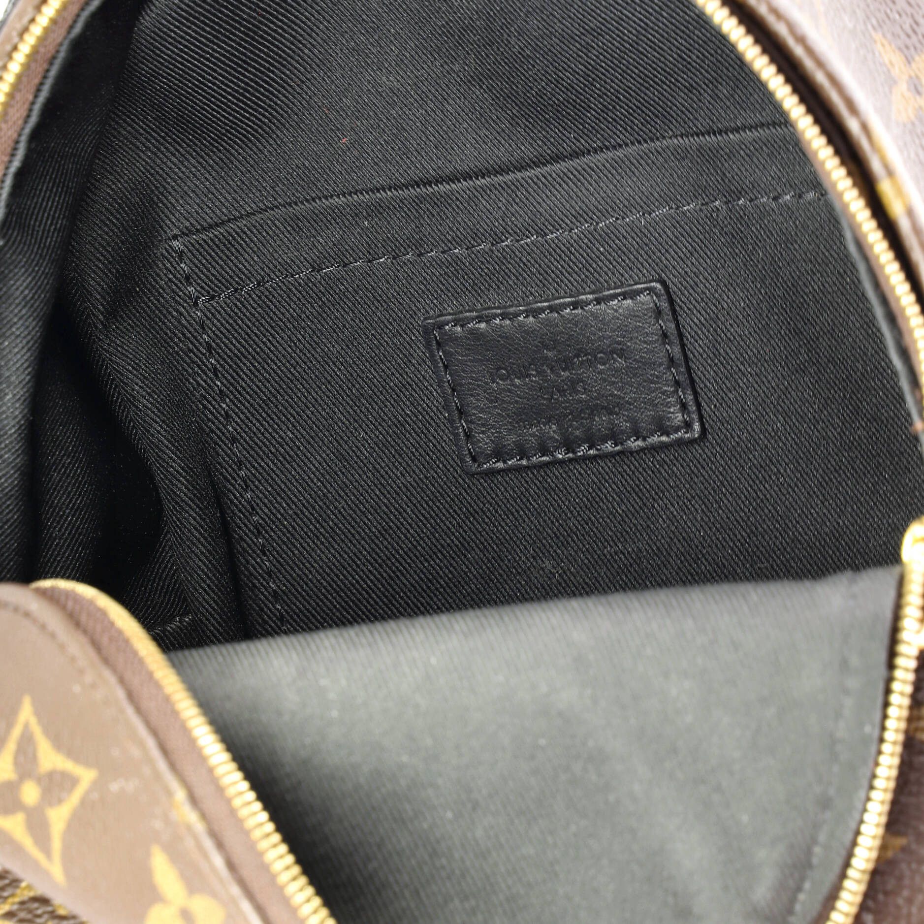 Louis Vuitton Palm Springs Backpack Monogram Canvas Mini Size ONE SIZE - 5 Thumbnail