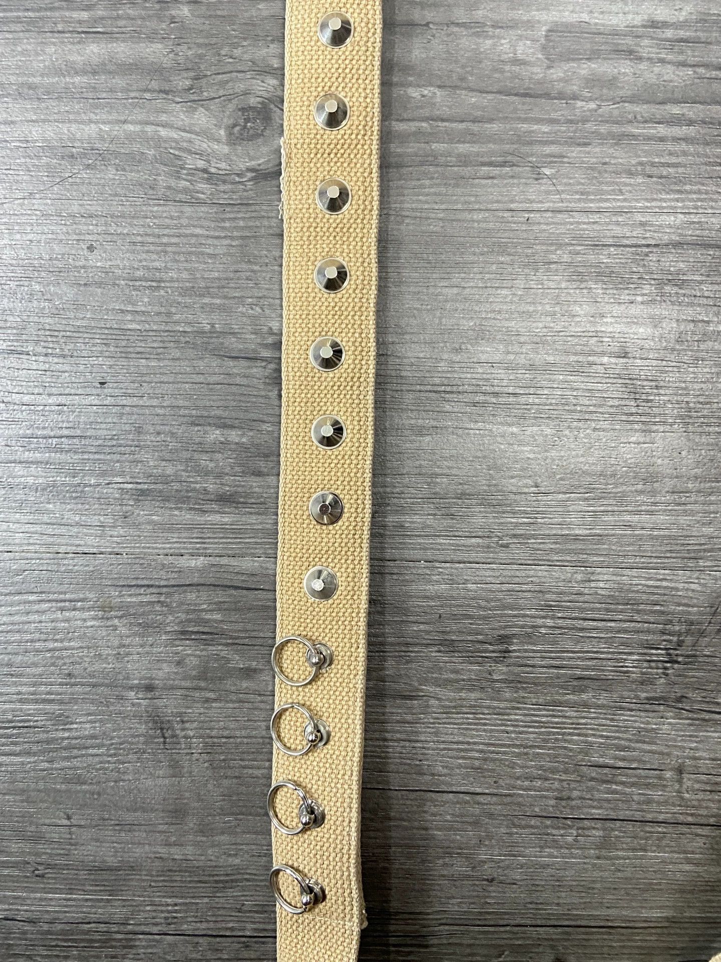 Number (N)ine Number (N)ine Studded Canvas Belt Size ONE SIZE - 2 Thumbnail