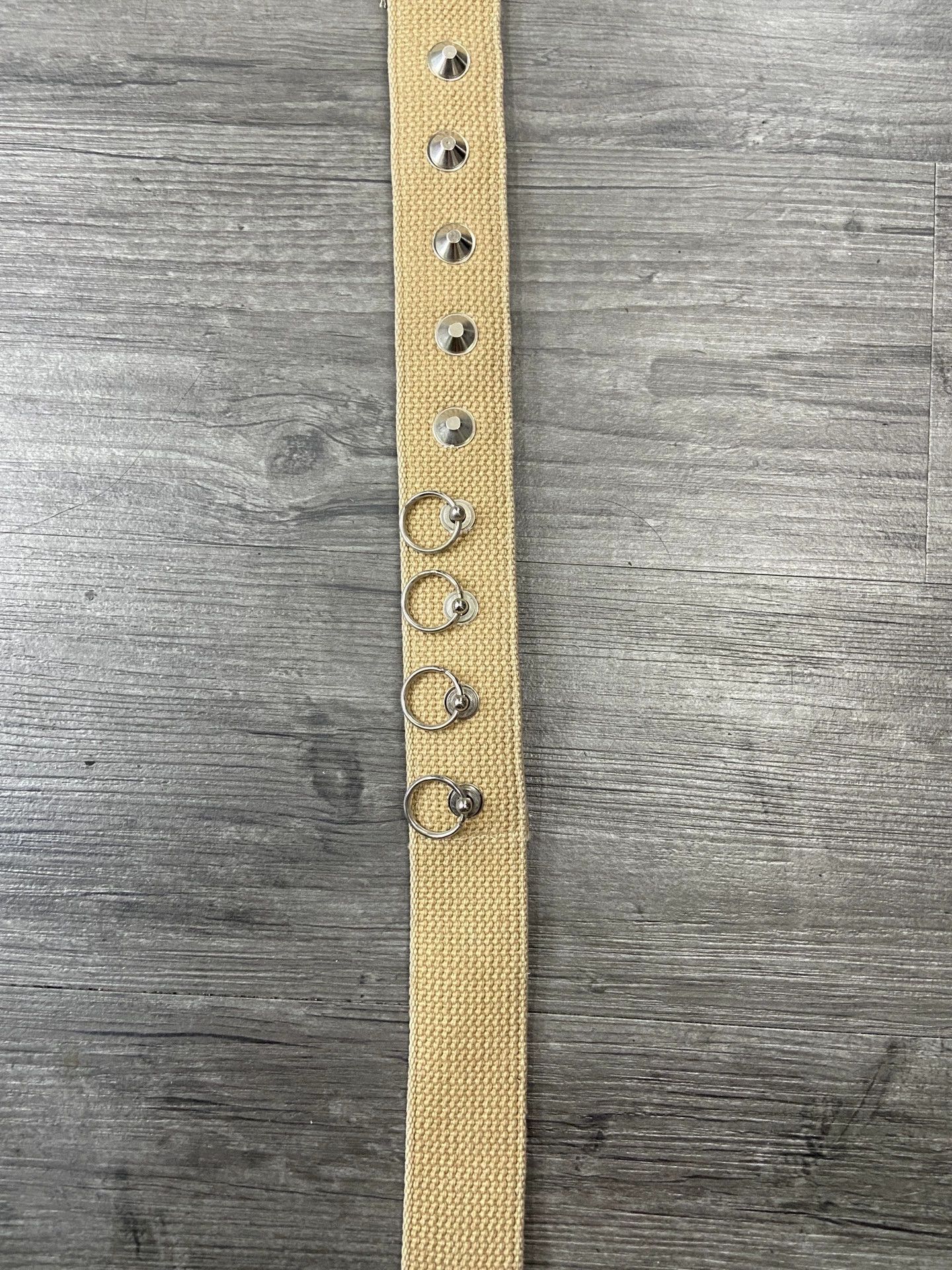 Number (N)ine Number (N)ine Studded Canvas Belt Size ONE SIZE - 4 Thumbnail