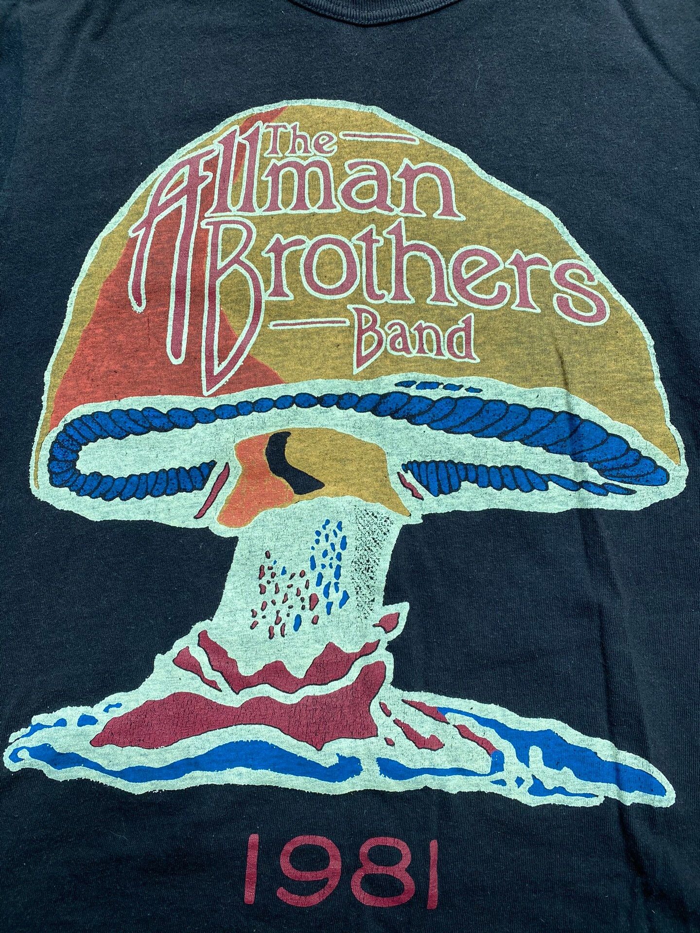Freewheelers Grateful Dead Allman Brothers Concert Tee Size US S / EU 44-46 / 1 - 2 Thumbnail