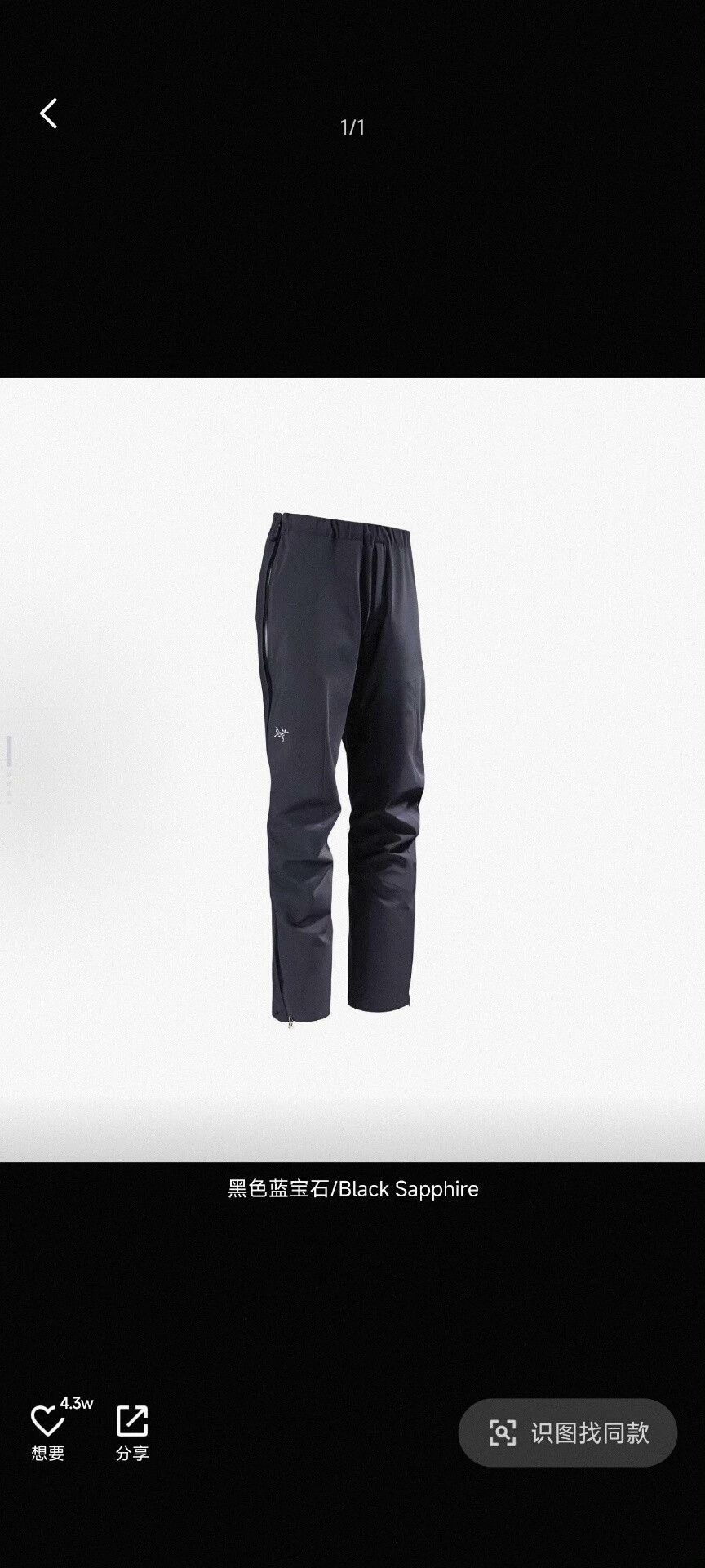 Arc'teryx Arcteryx Men's Beta Pant Waterproof Windproof Size US 28 / EU 44 - 2 Thumbnail