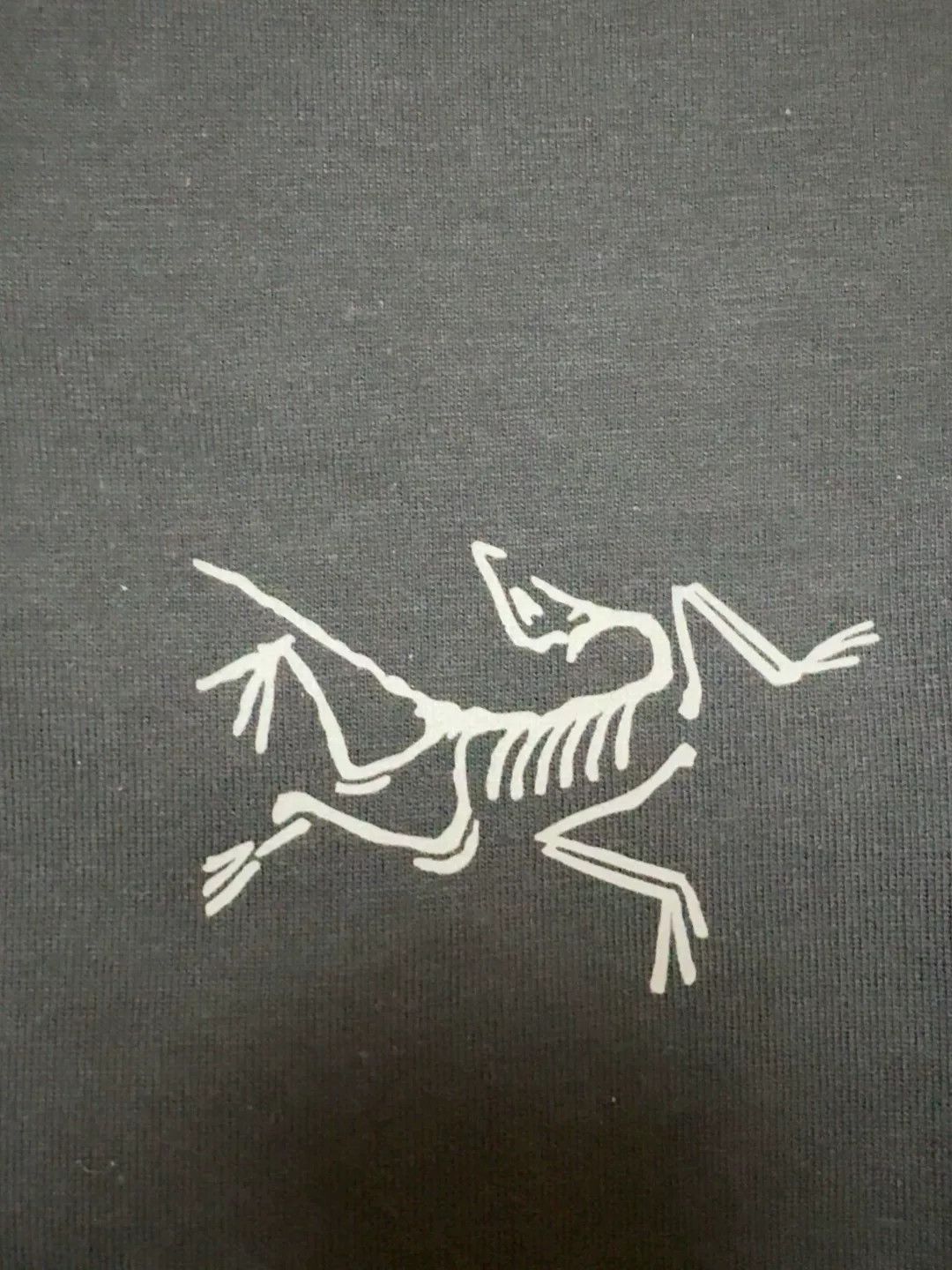 Arc'teryx Arcteryx Kragg SL Cotton SS Black Tee Size US S / EU 44-46 / 1 - 6 Thumbnail