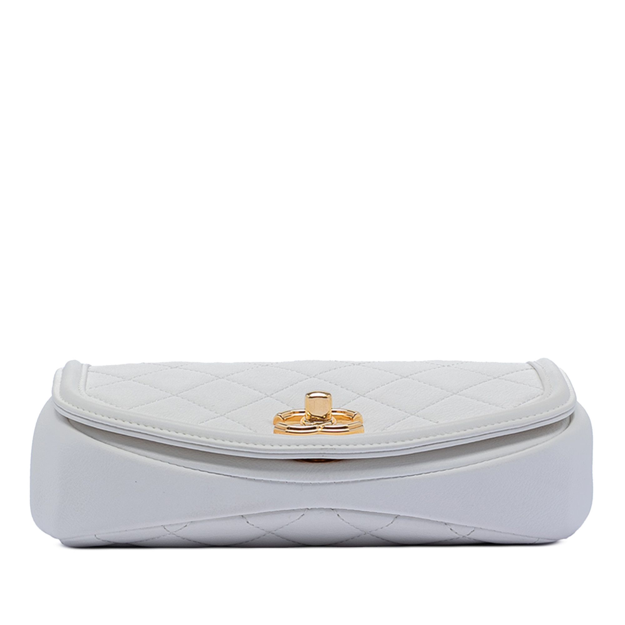 Chanel Chanel Small Quilted Calfskin Underline Saddle Flap Size ONE SIZE - 3 Thumbnail