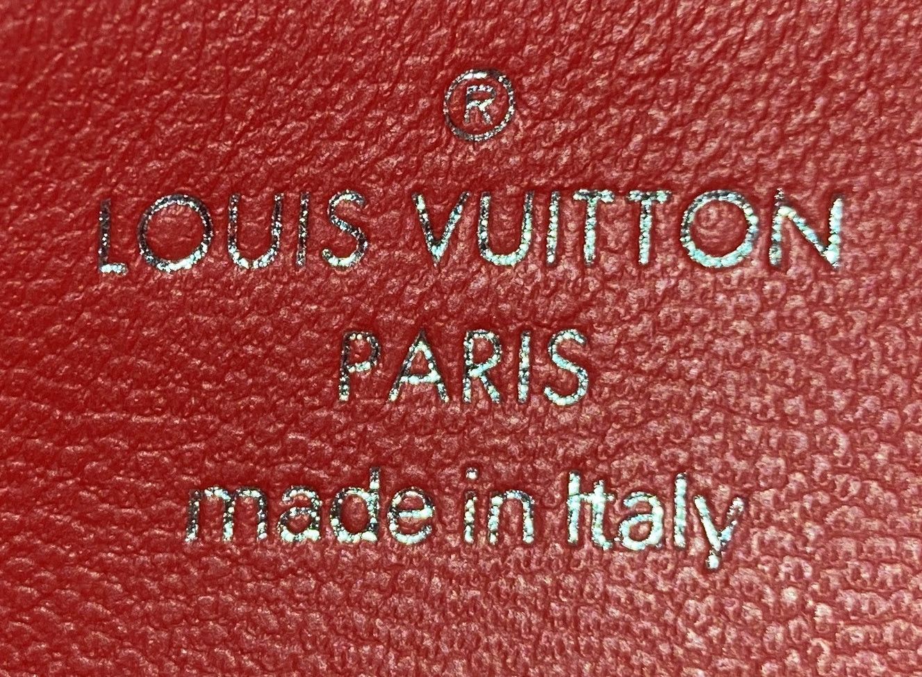 Louis Vuitton Ski Twist Handbag Size ONE SIZE - 7 Thumbnail