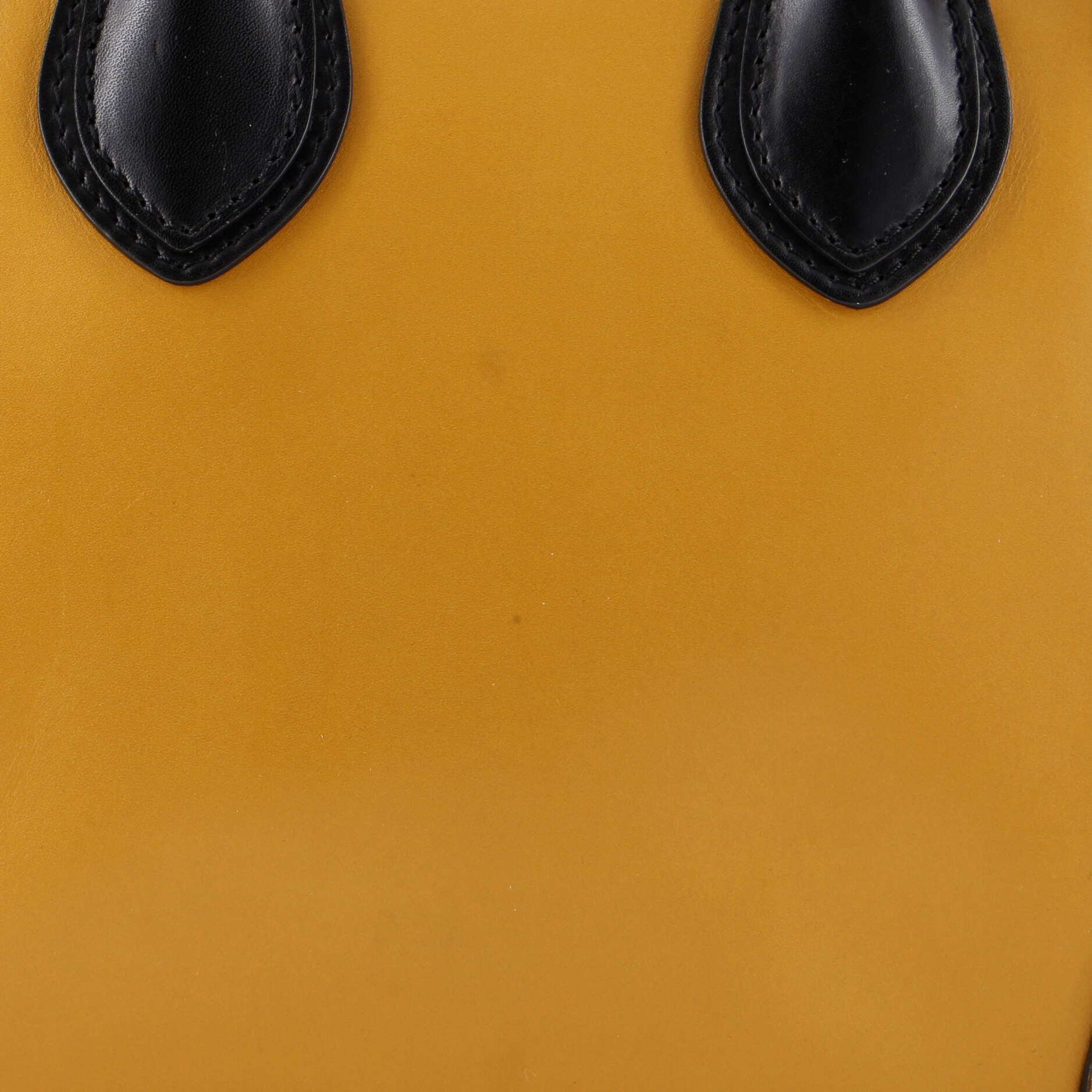 Celine Bicolor Luggage Bag Size ONE SIZE - 8 Thumbnail