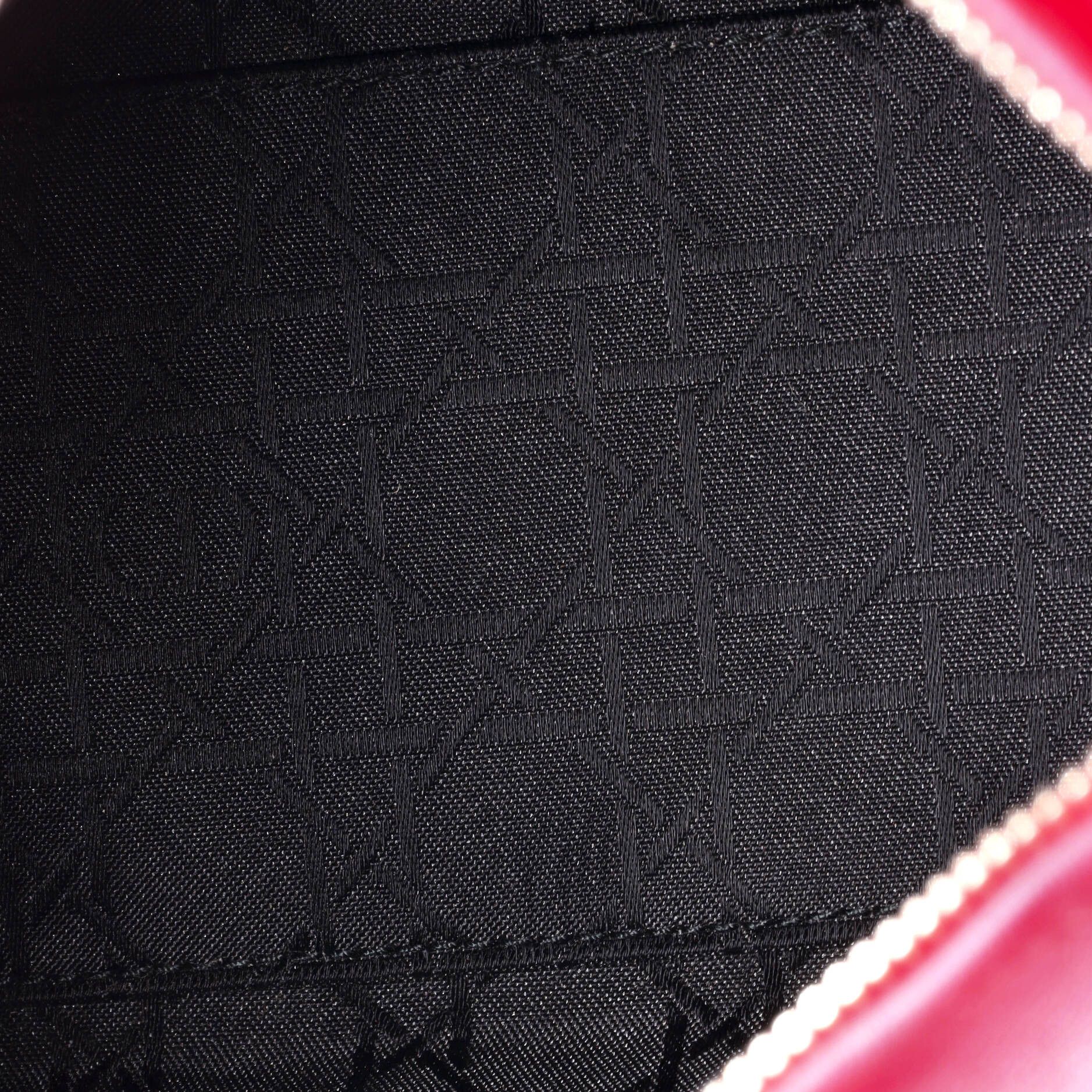 Dior Lady Dior Bag Size ONE SIZE - 5 Thumbnail