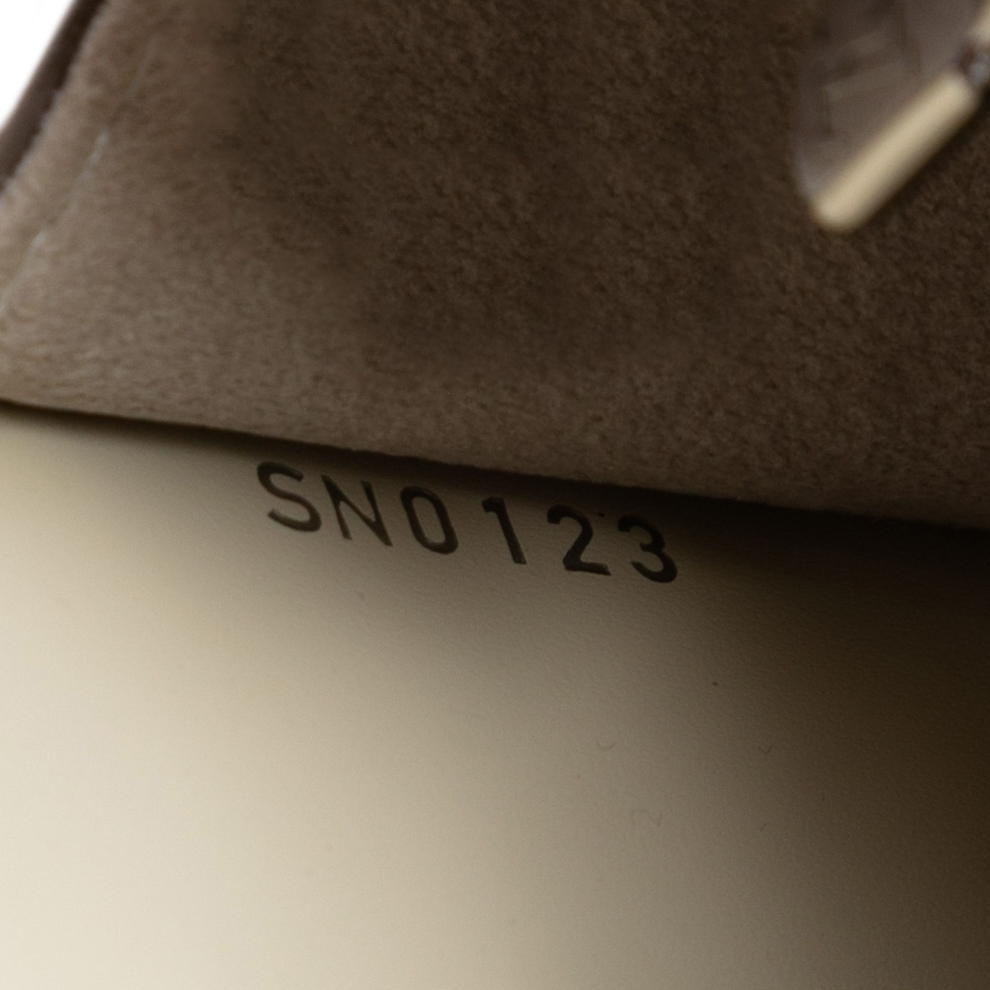 Louis Vuitton Louis Vuitton Epi Sevigne Clutch Size ONE SIZE - 6 Thumbnail