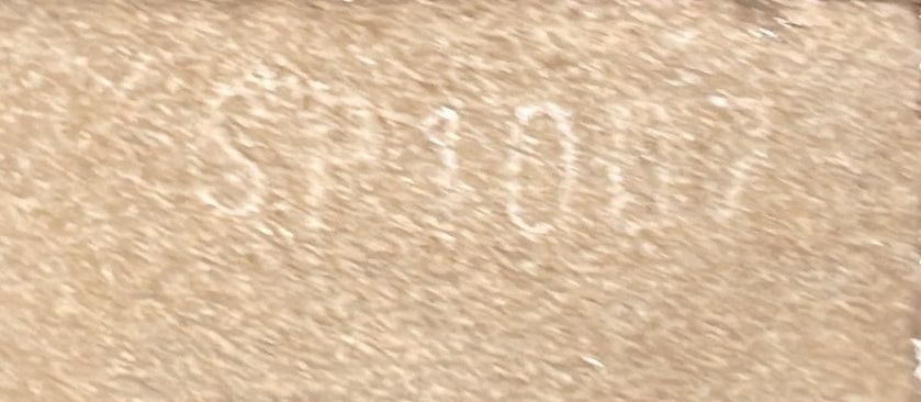 Louis Vuitton Speedy Handbag Size ONE SIZE - 9 Thumbnail