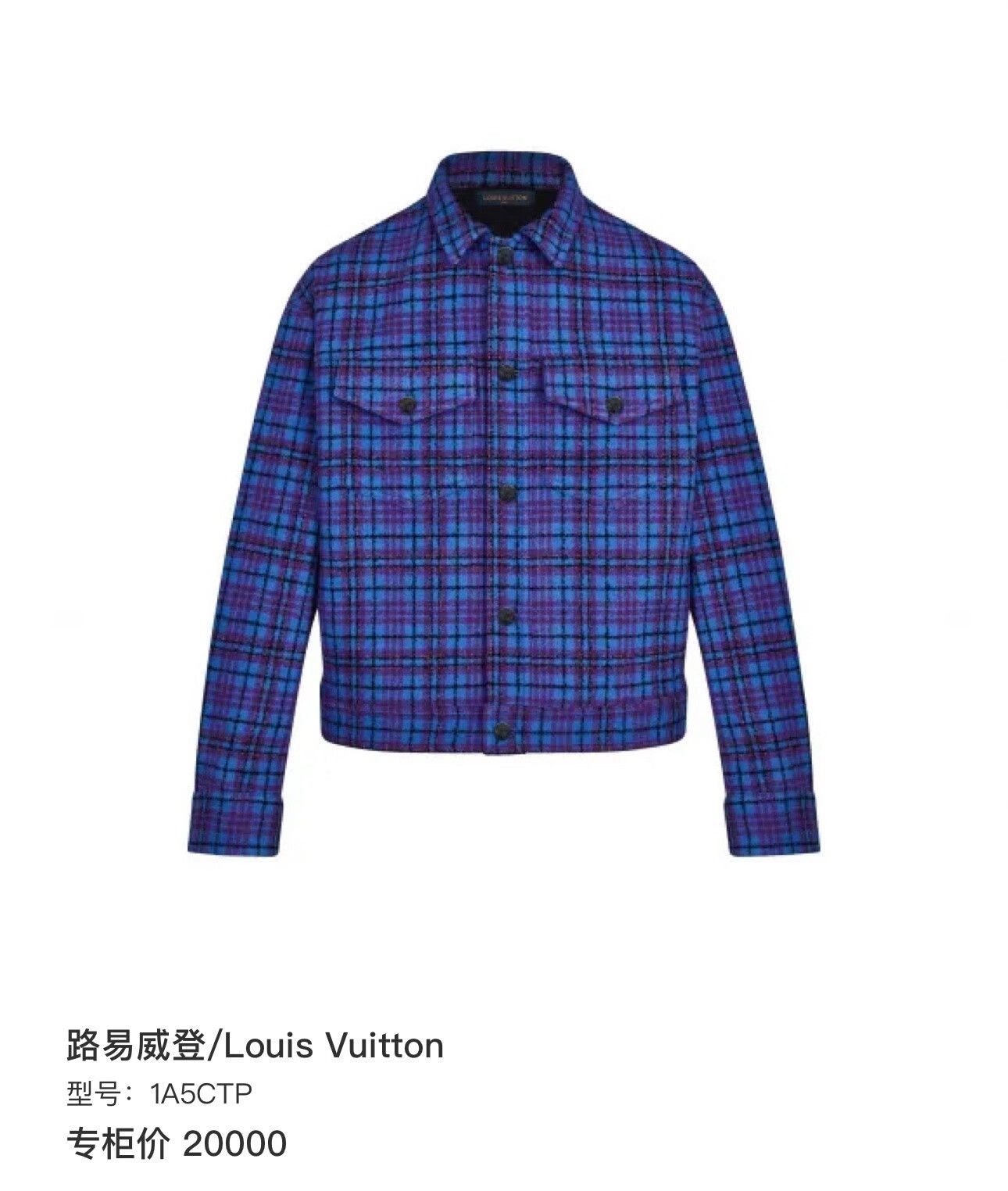 Louis Vuitton Louis Vuitton Blue Flannel Plaid Jacket 48 Size US M / EU 48-50 / 2 - 7 Thumbnail