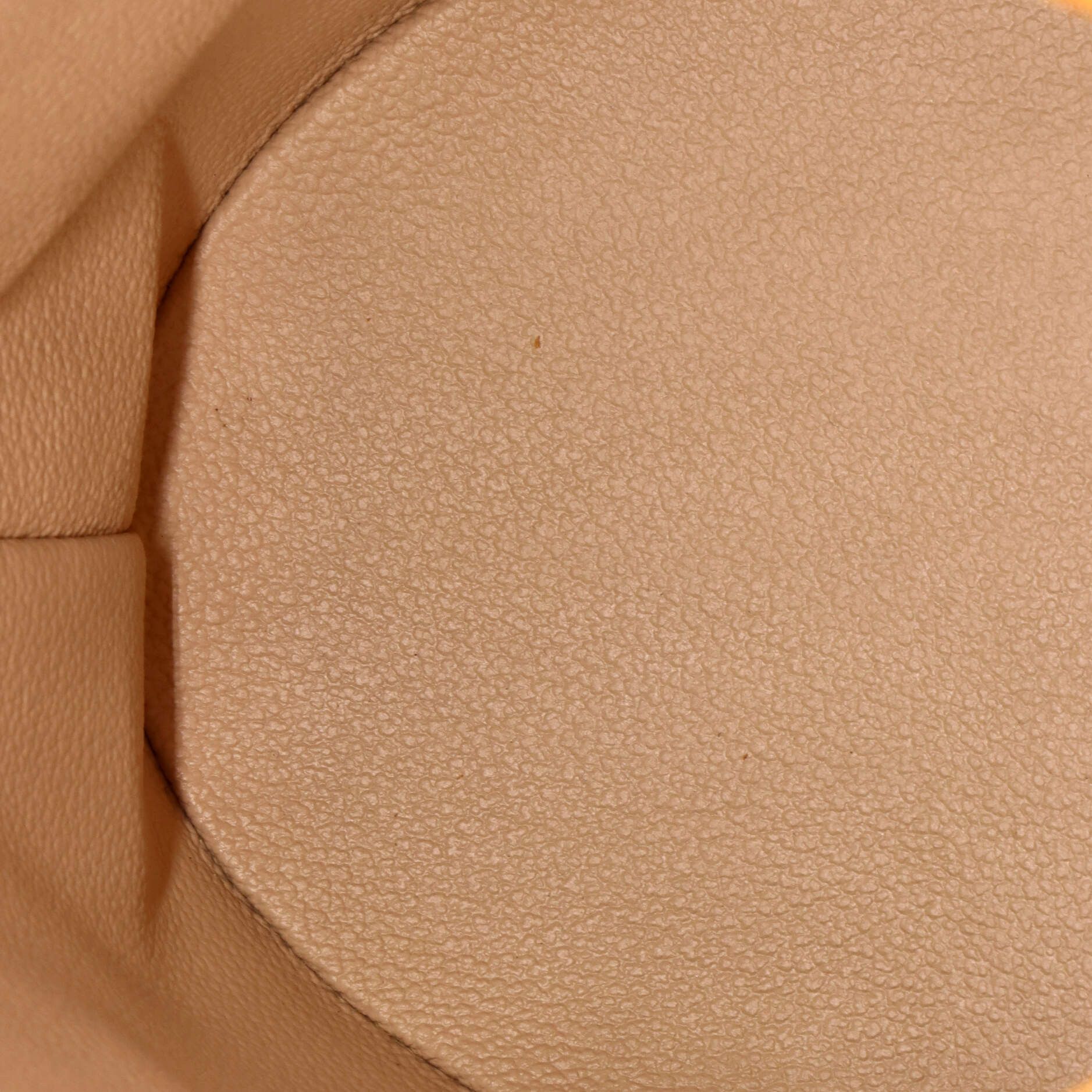 Louis Vuitton Petit Bucket Bag Size ONE SIZE - 5 Thumbnail