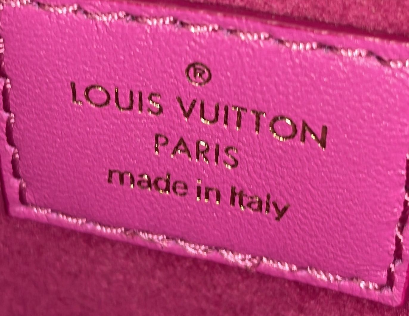Louis Vuitton Coussin Bag Size ONE SIZE - 7 Thumbnail