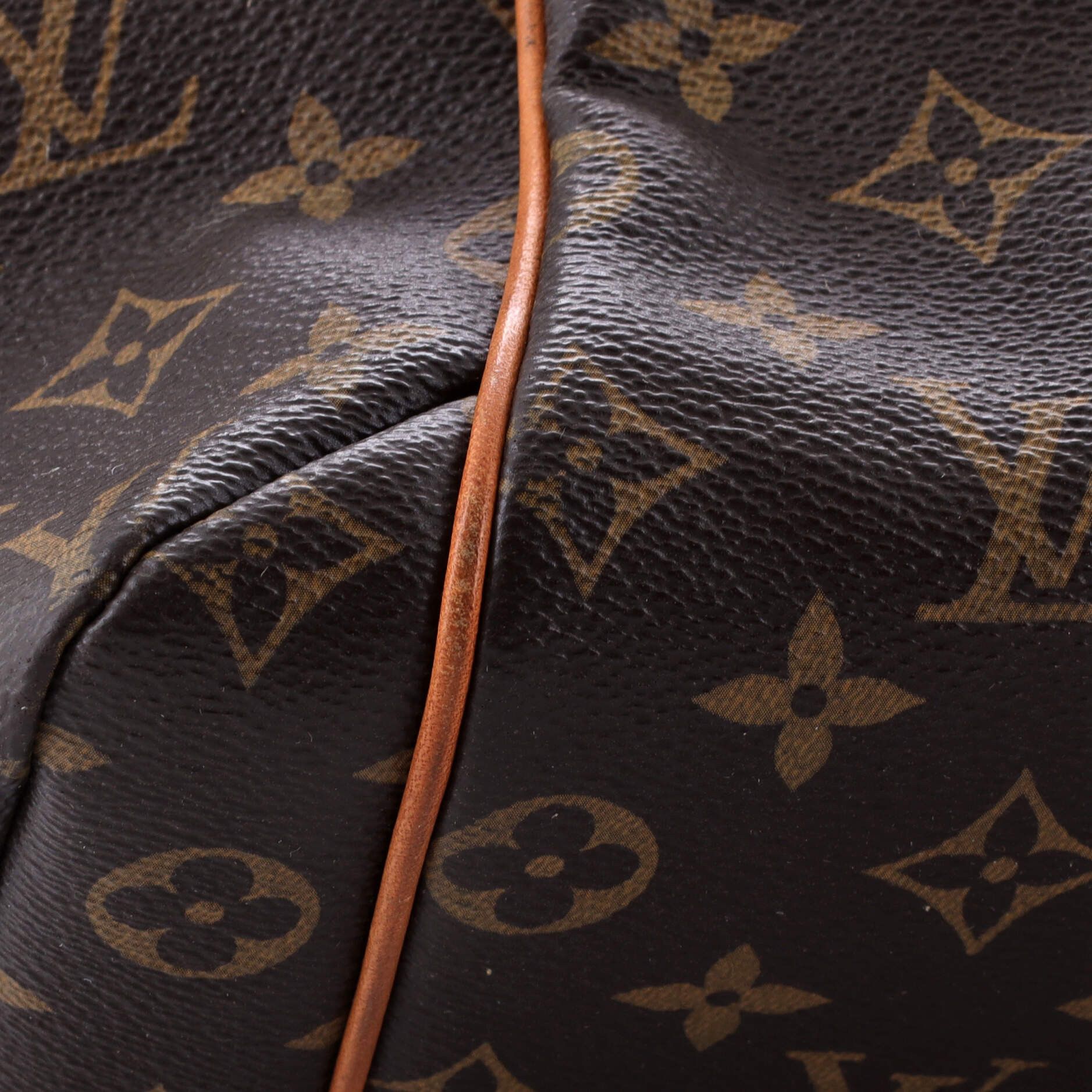 Louis Vuitton Totally Handbag Size ONE SIZE - 7 Thumbnail