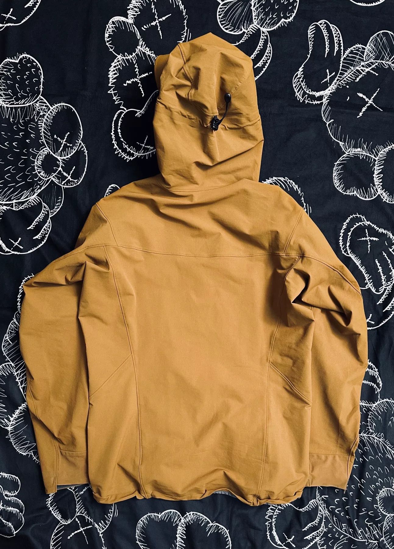 Arc'teryx Arcteryx Gamma LT Hoody Softshell Jacket Size US L / EU 52-54 / 3 - 3 Thumbnail