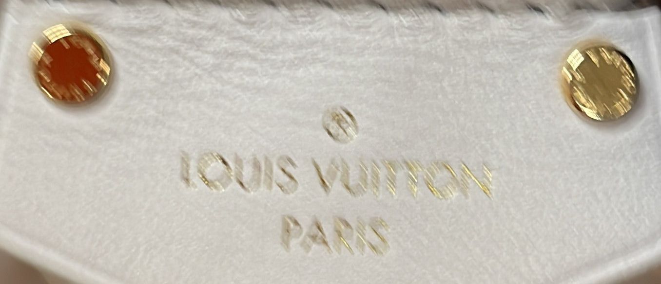 Louis Vuitton Vanity Handbag Size ONE SIZE - 8 Thumbnail