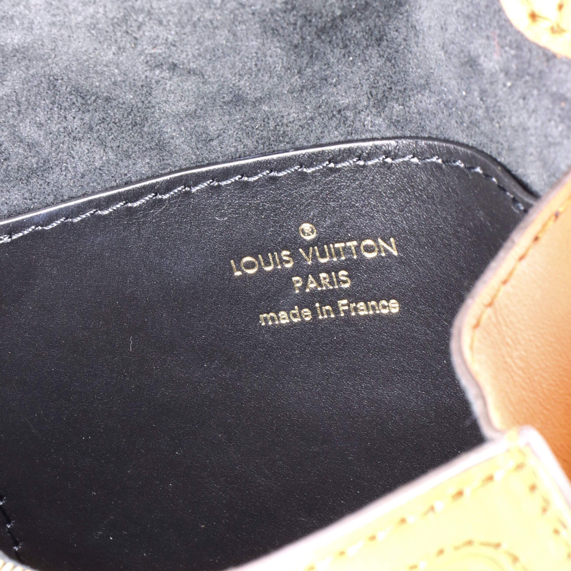 Louis Vuitton Dauphine Bumbag Size ONE SIZE - 6 Thumbnail