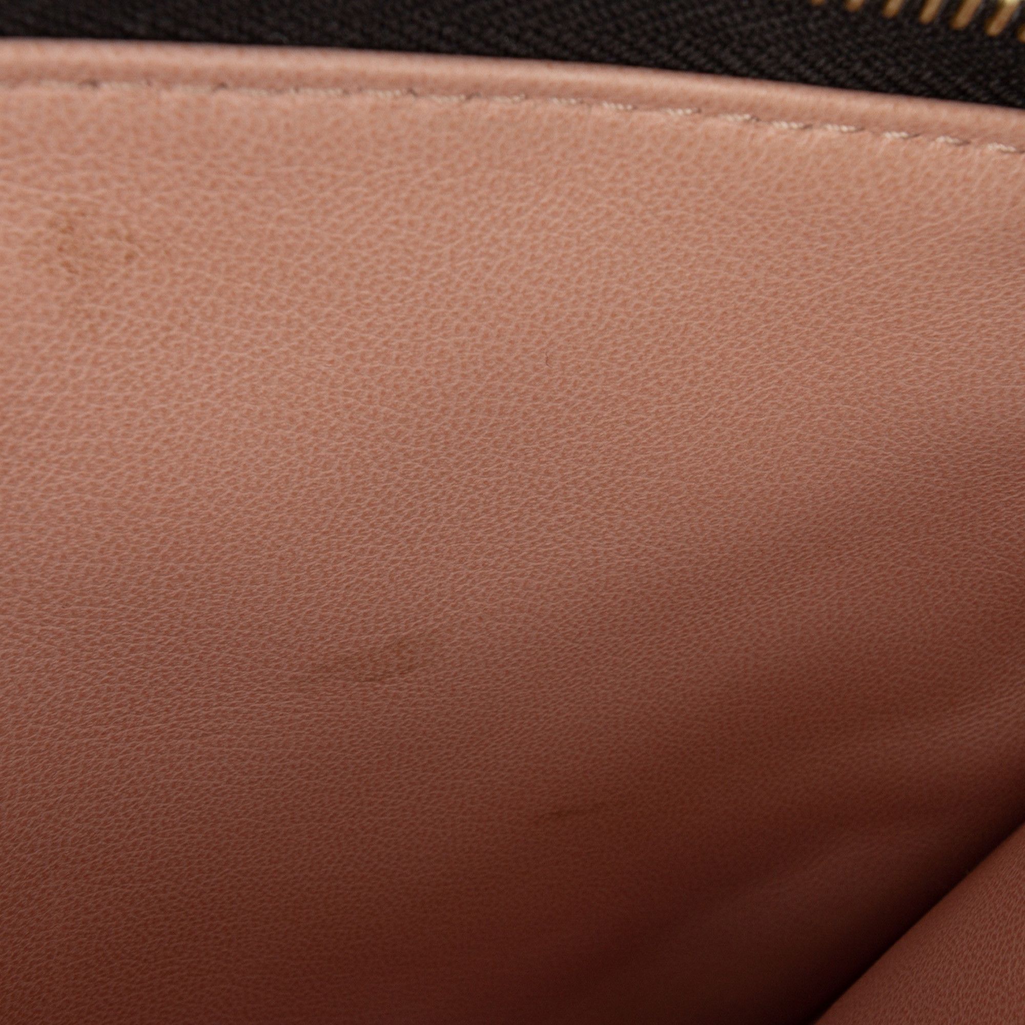 Louis Vuitton Louis Vuitton Monogram Embossed Puffy Lambskin Coussin PM Size ONE SIZE - 6 Thumbnail